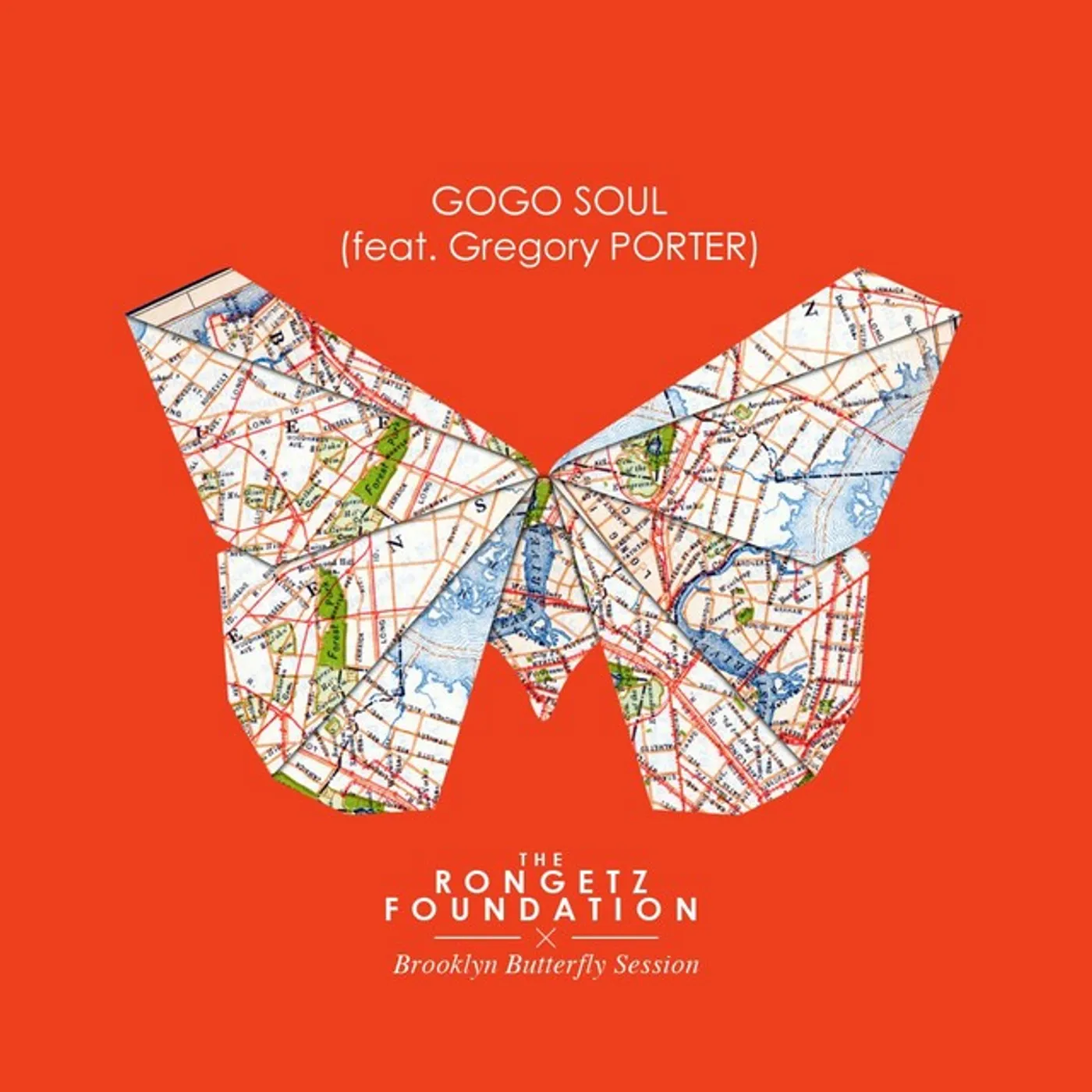 The Rongetz Foundation Gogo Soul Vinyl Record