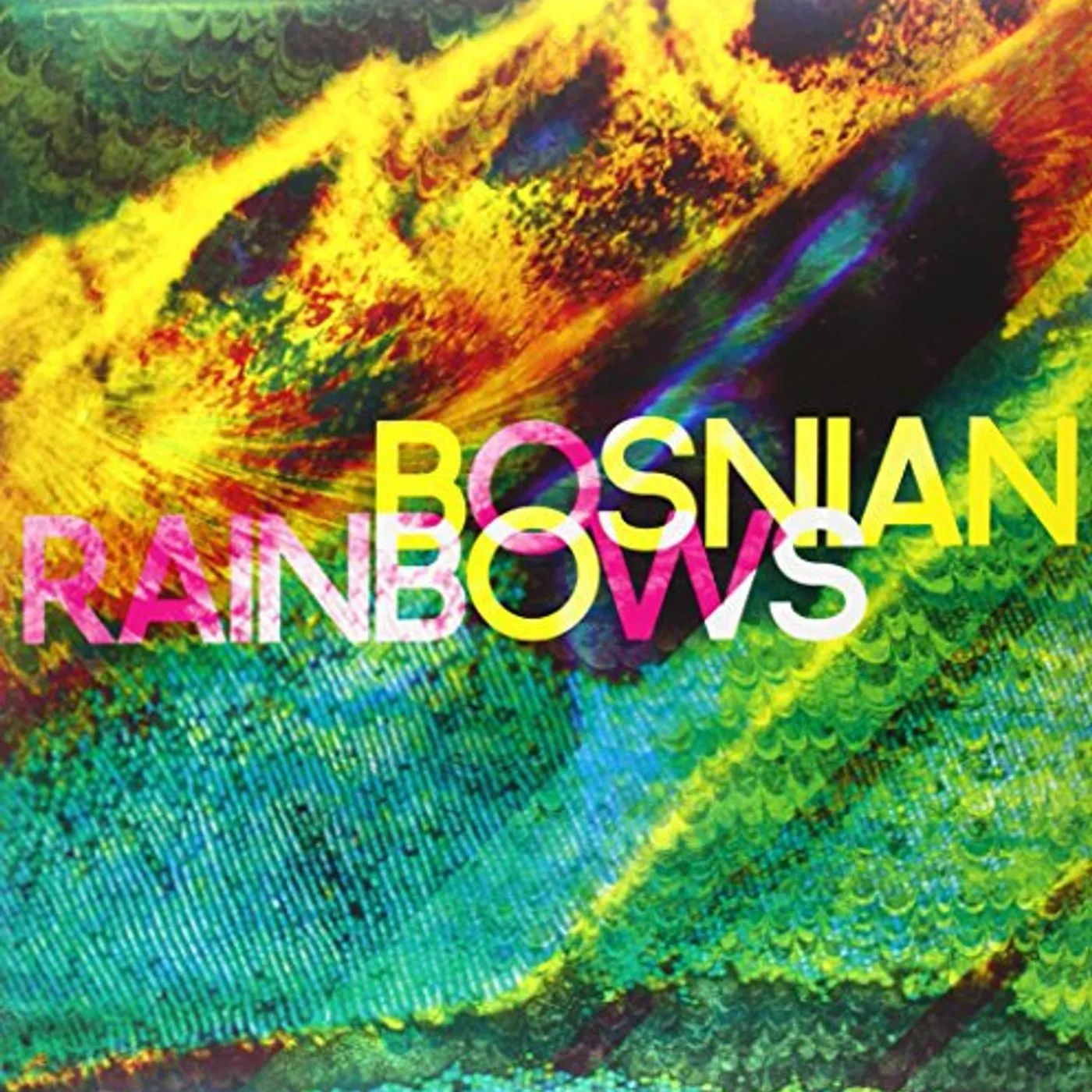 Bosnian Rainbows Vinyl Record
