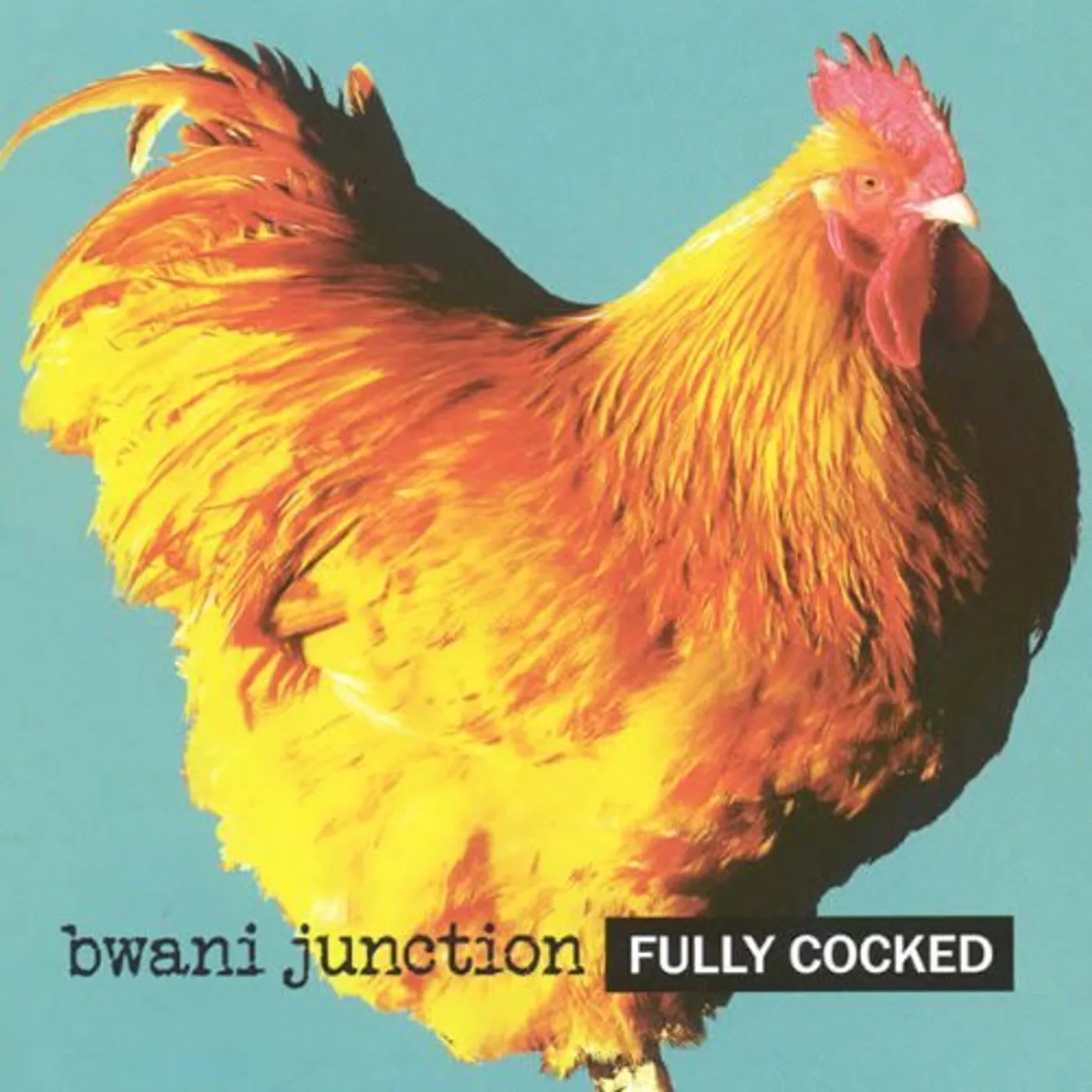 Bwani Junction FULLY COCKED CD