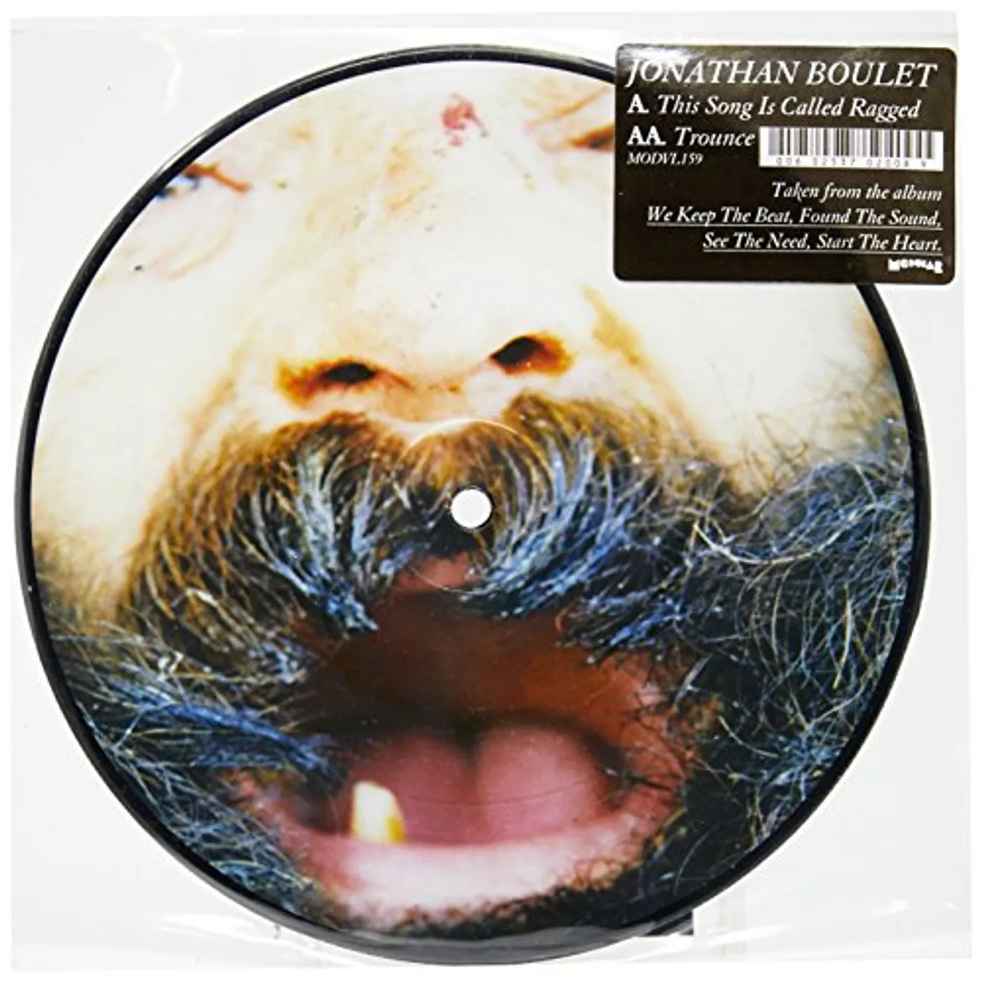 Jonathan Boulet THIS SONG IS CALLED Vinyl Record