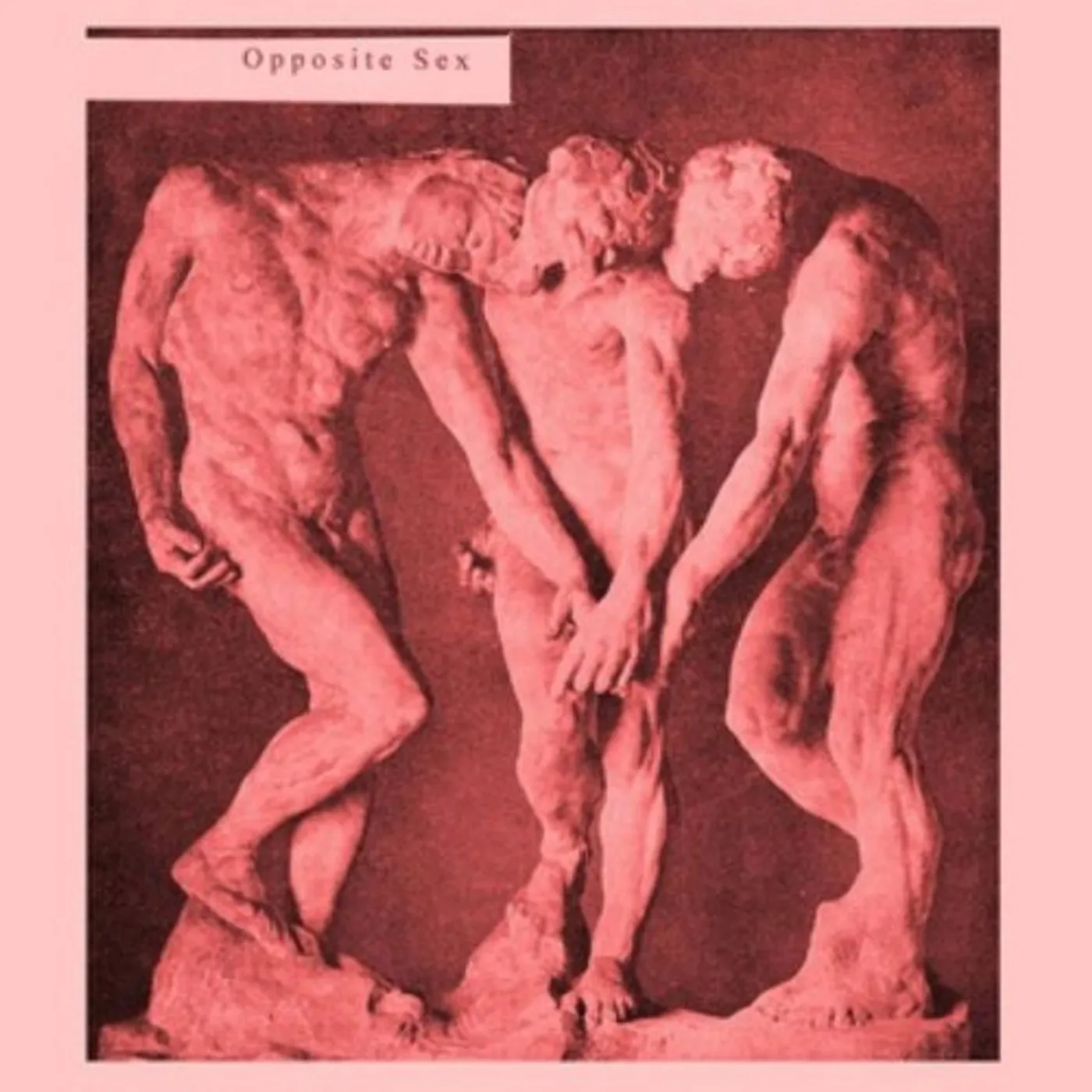 Opposite Sex Vinyl Record