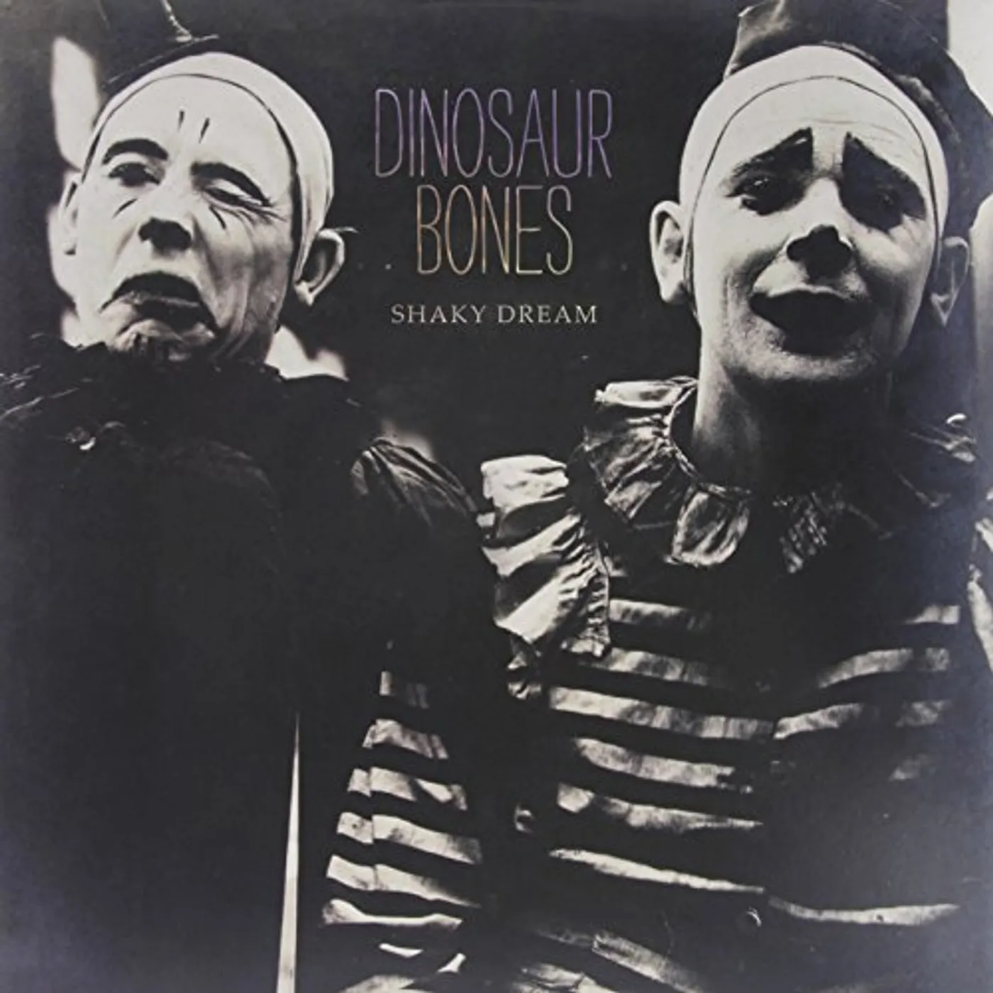 Dinosaur Bones SHAKY DREAM (180 GRAM VINYL) Vinyl Record