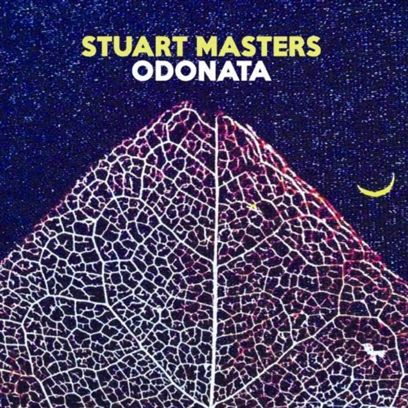 Stuart Masters ODONATA CD