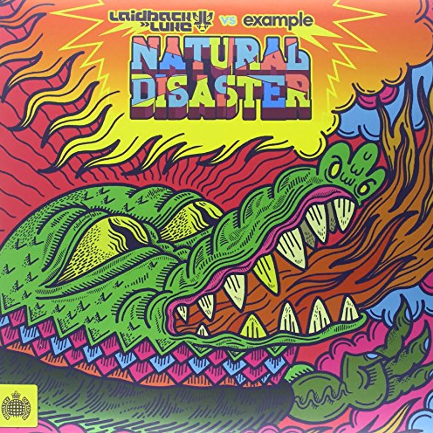 Laidback Luke vs Example Natural Disaster Vinyl Record