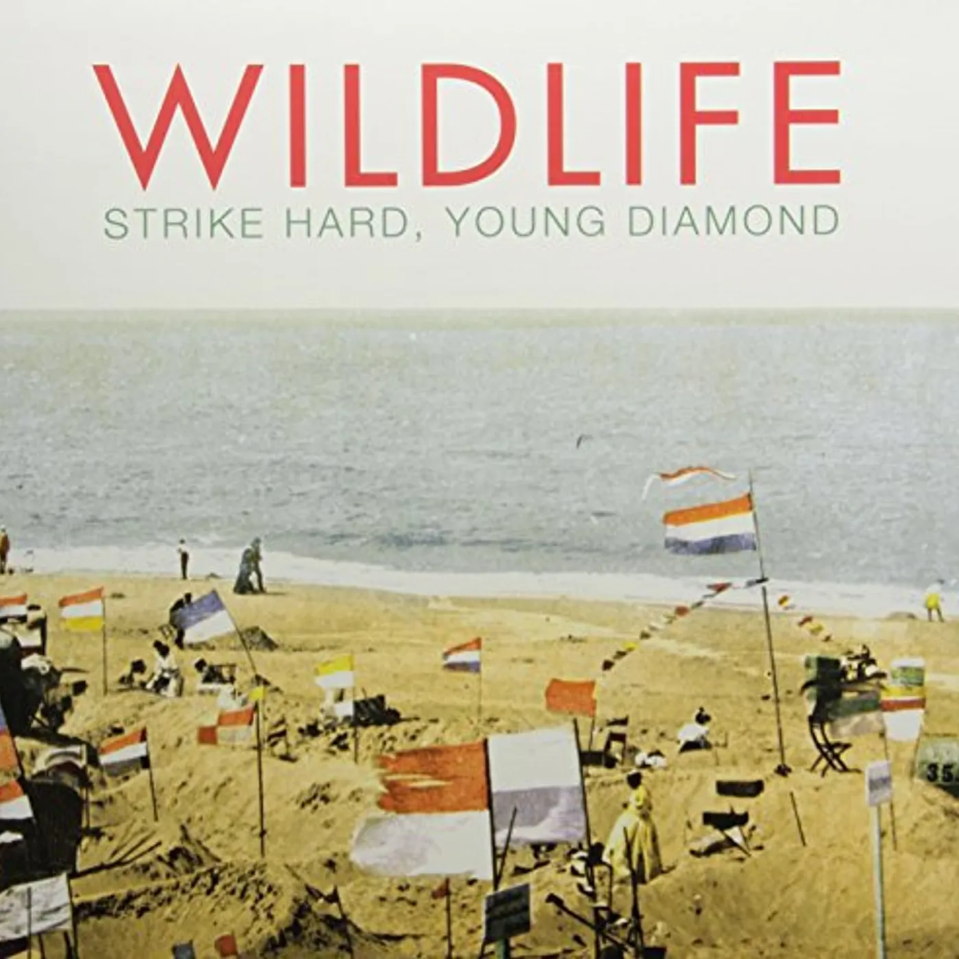 Wildlife Strike Hard Young Diamond Vinyl Record