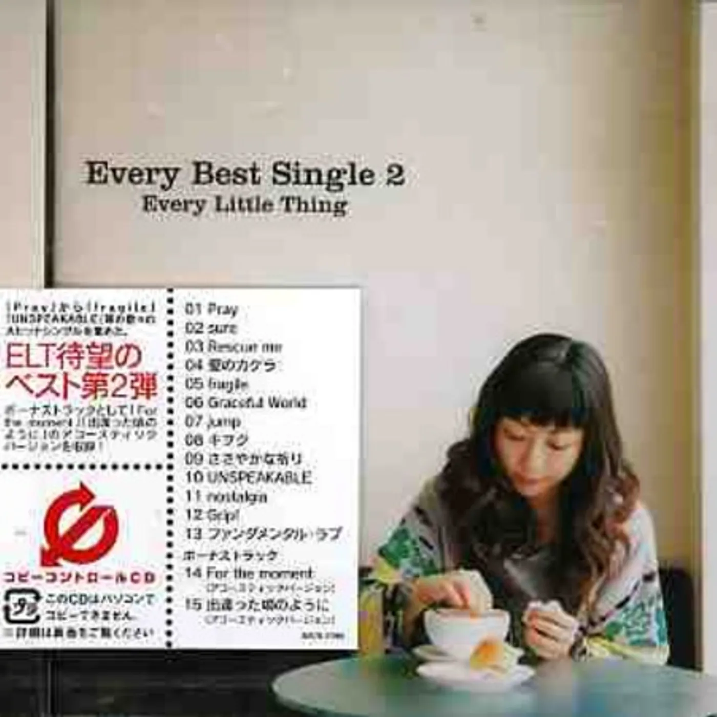 Every Little Thing EVERY BEST SINGLE 2 CD
