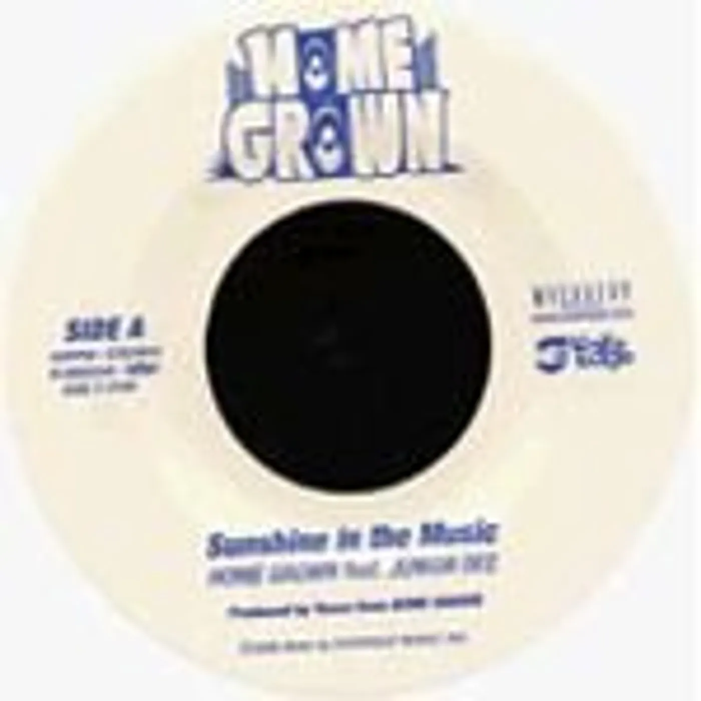 Home Grown SUNSHINE IN THE MUSIC/KIMI NO TOKORO E Vinyl Record
