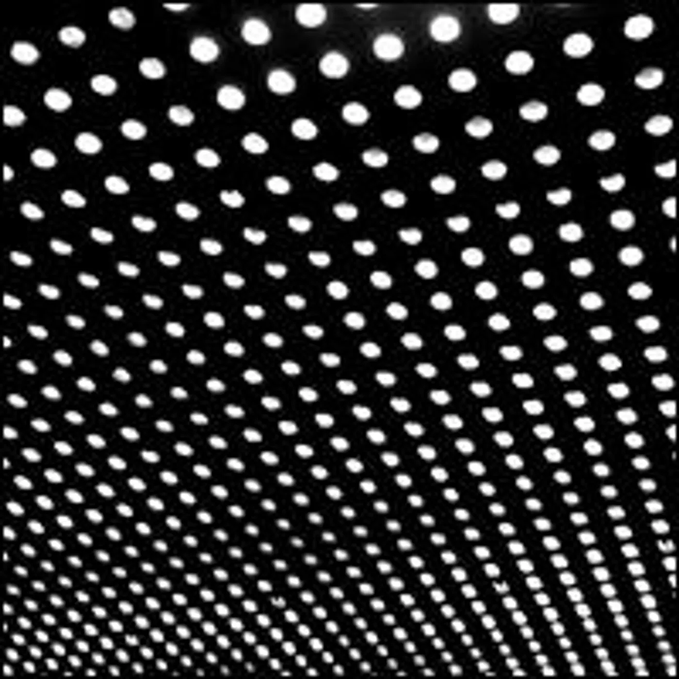 Beach House BLOOM Vinyl Record