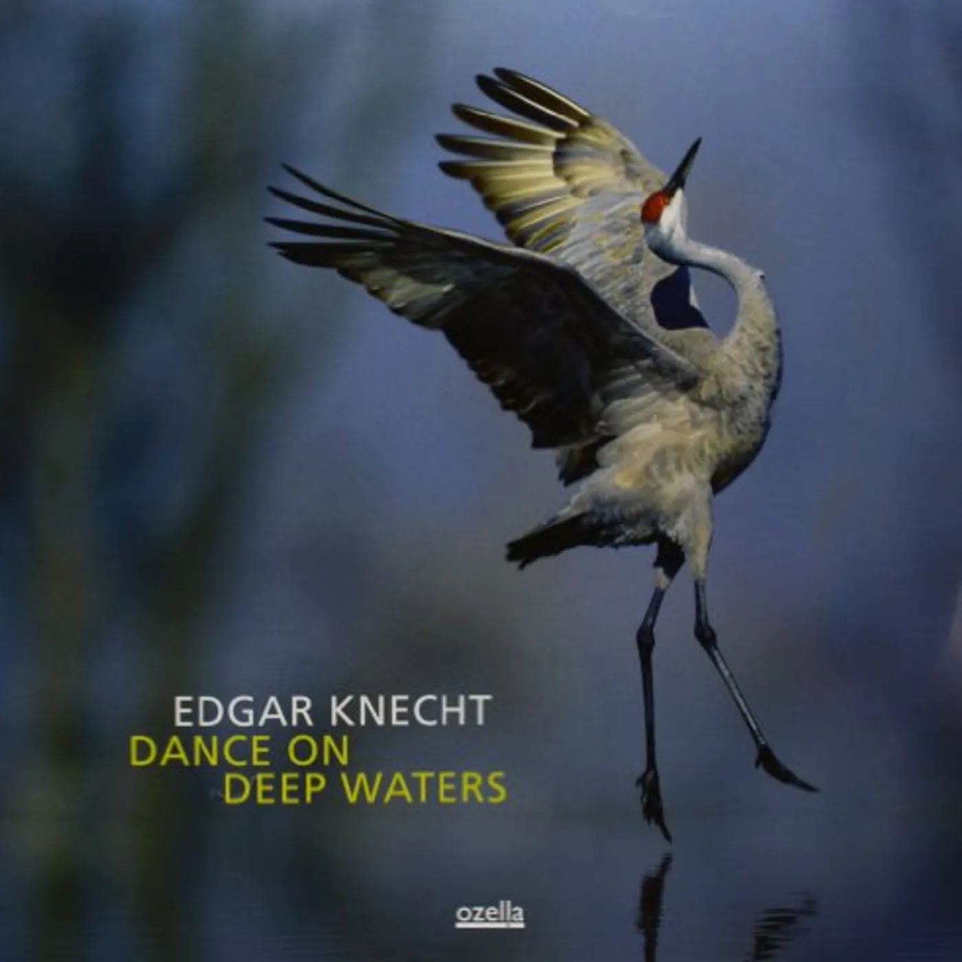 Edgar Knecht Dance On Deep Waters Vinyl Record