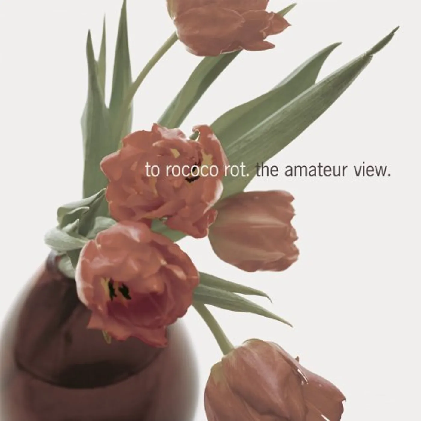 To Rococo Rot AMATEUR (REISSUE) Vinyl Record - UK Release