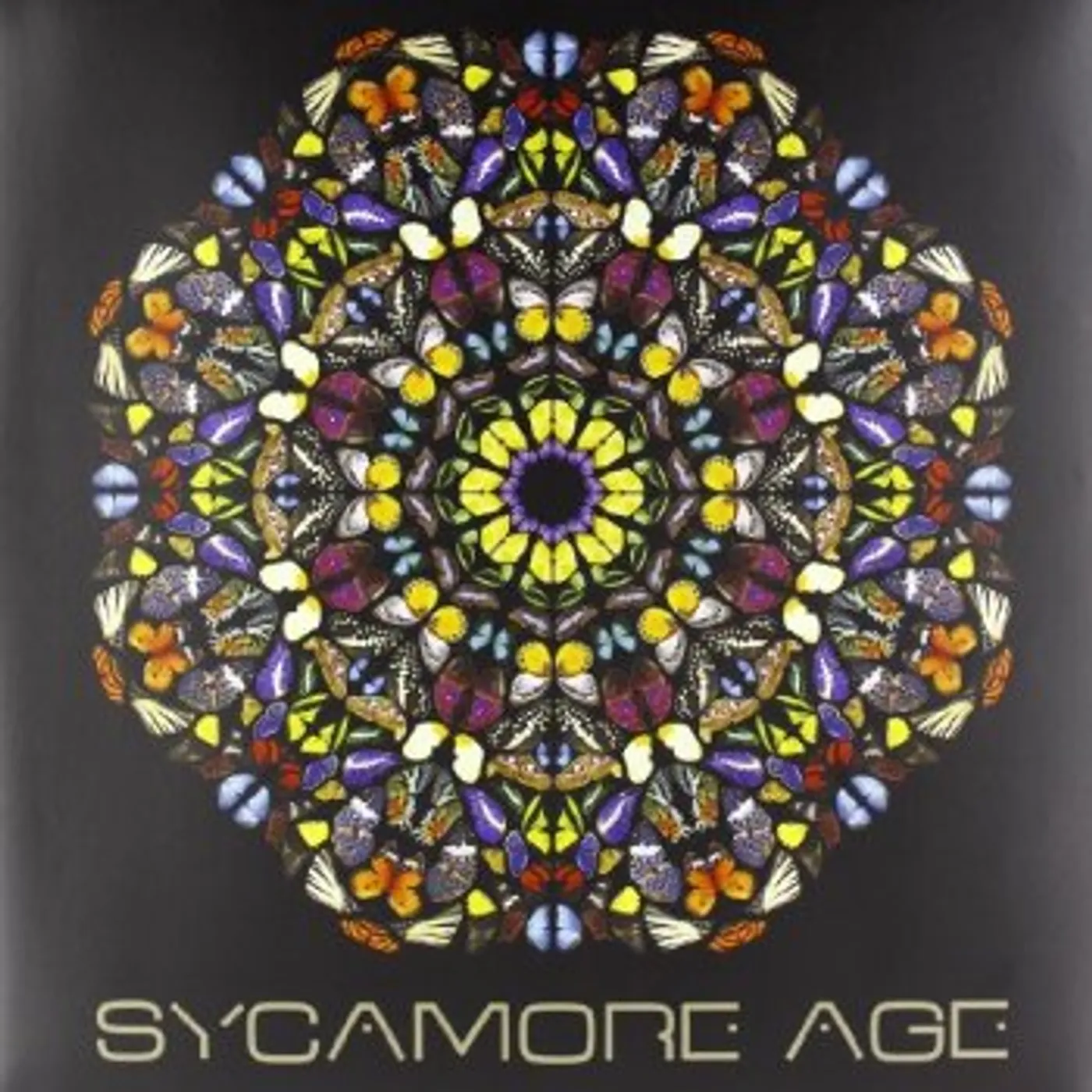 Sycamore Age Vinyl Record