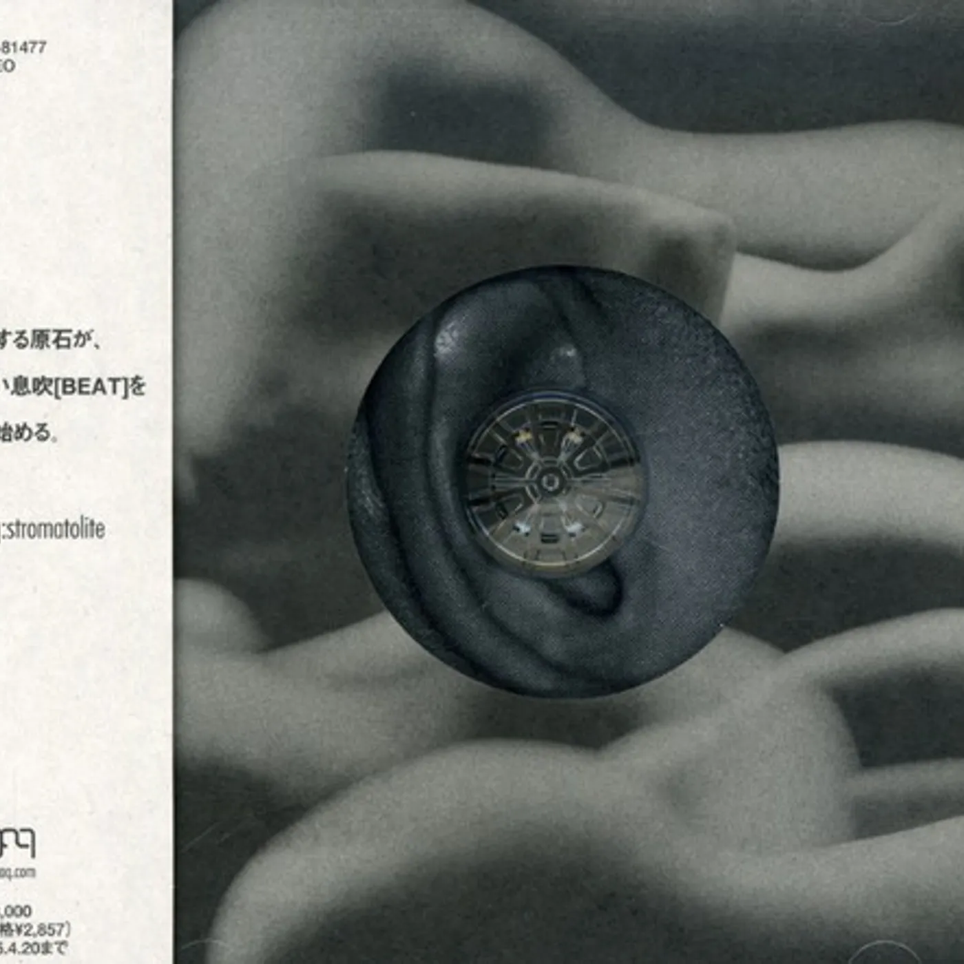 TaQ ONGAQ-STROMATOLITE CD
