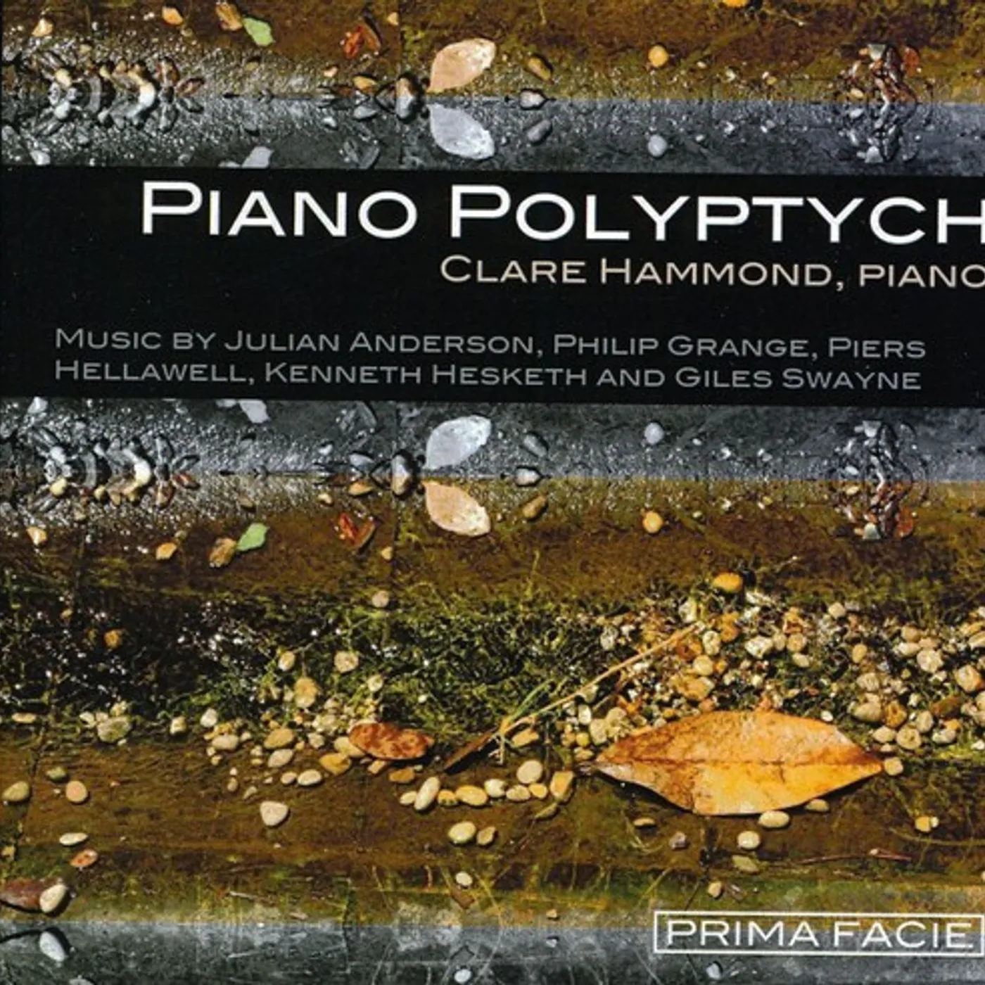Clare Hammond PIANO POLYPTYCH: MUSIC BY JULIAN ANDERSON PIERS HE CD