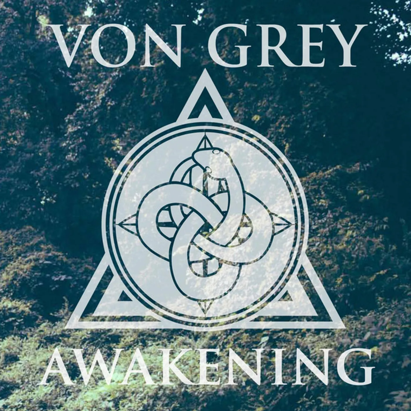 Von Grey Awakening Vinyl Record