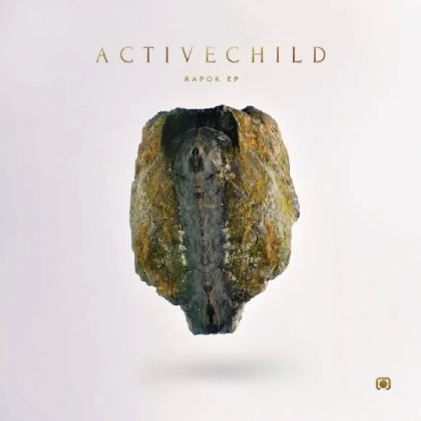 Active Child Rapor Vinyl Record