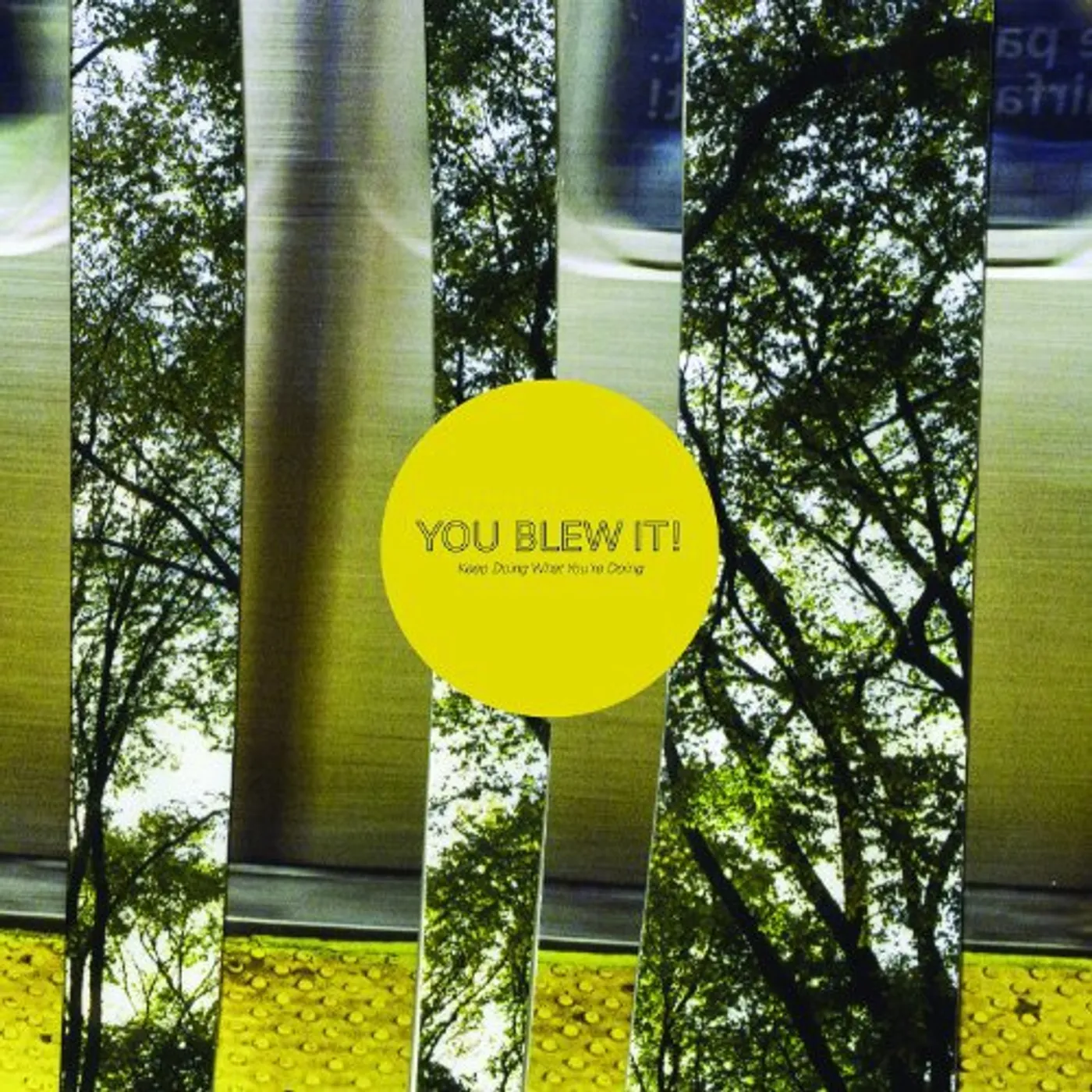You Blew It! Keep Doing What You're Doing Vinyl Record