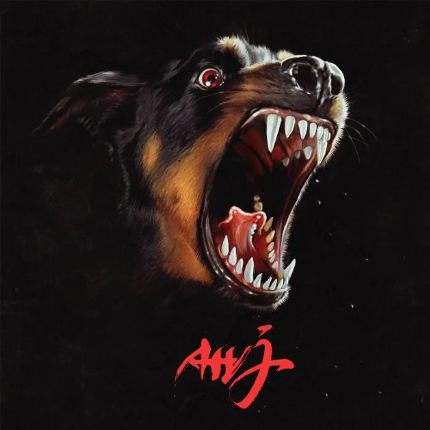 Albert Hammond Jr AHJ Vinyl Record
