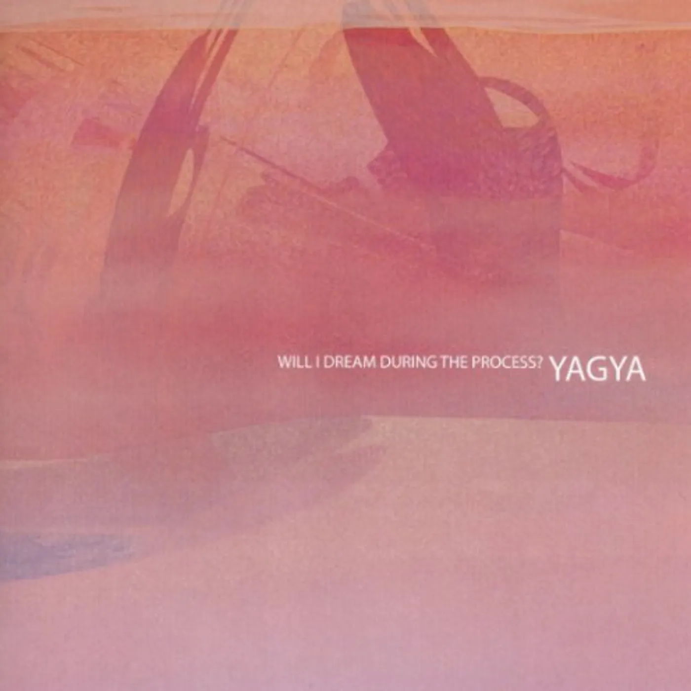 Yagya WILL I DREAM DURING THE PROCESS Vinyl Record