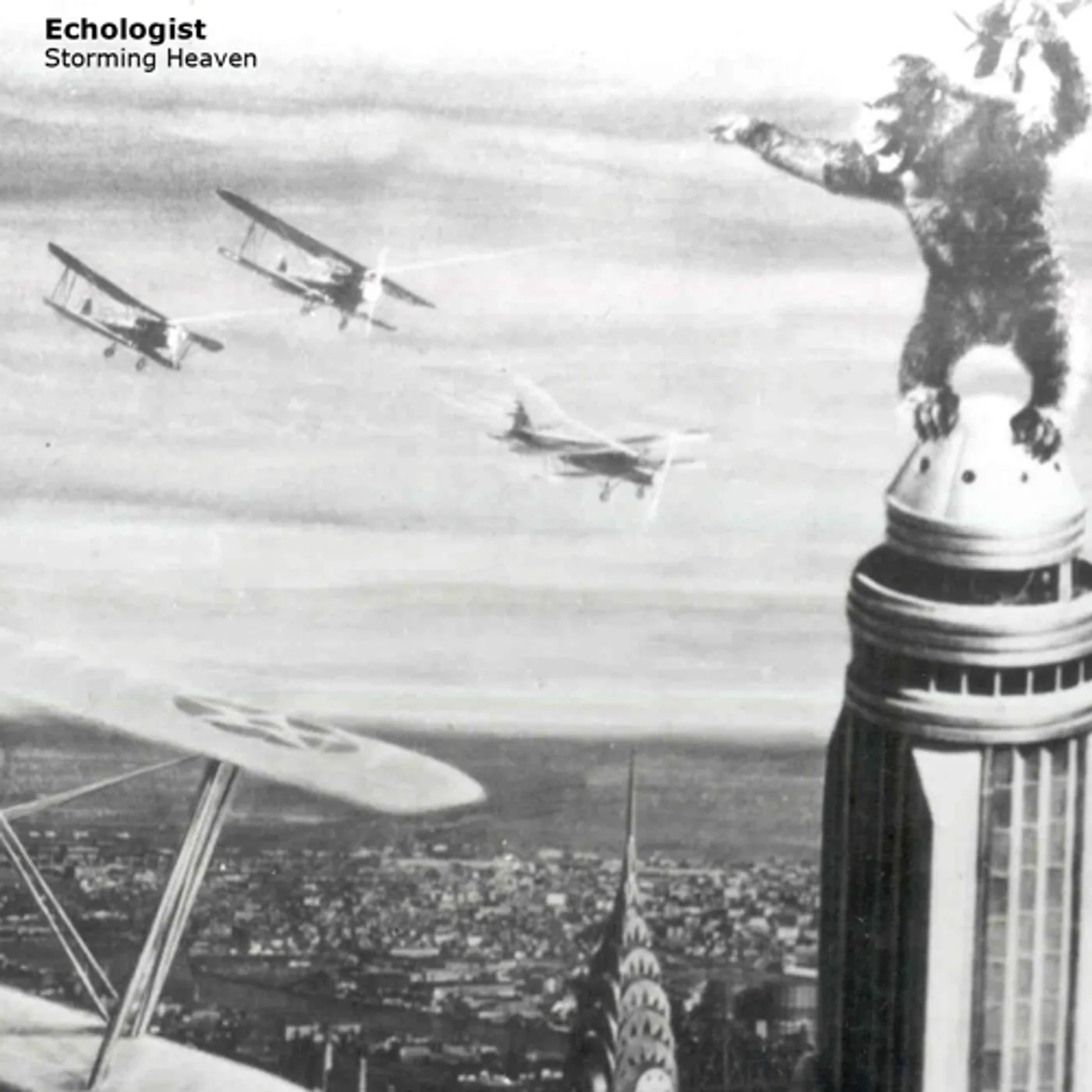Echologist STORMING HEAVEN CD