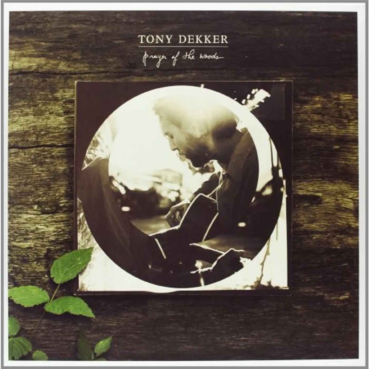 Tony Dekker Prayer of the Woods Vinyl Record