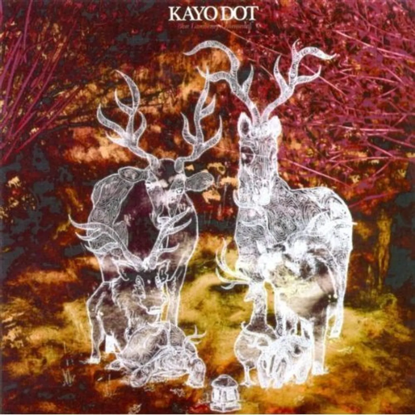 Kayo Dot Blue Lambency Downward Vinyl Record