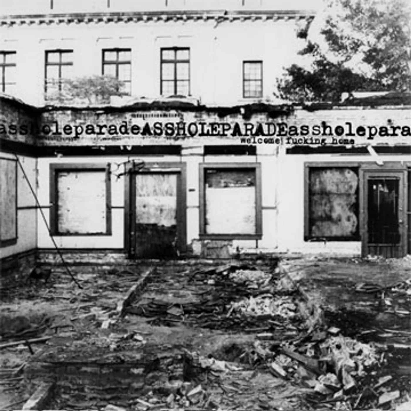 Assholeparade Welcome Fucking Home Vinyl Record