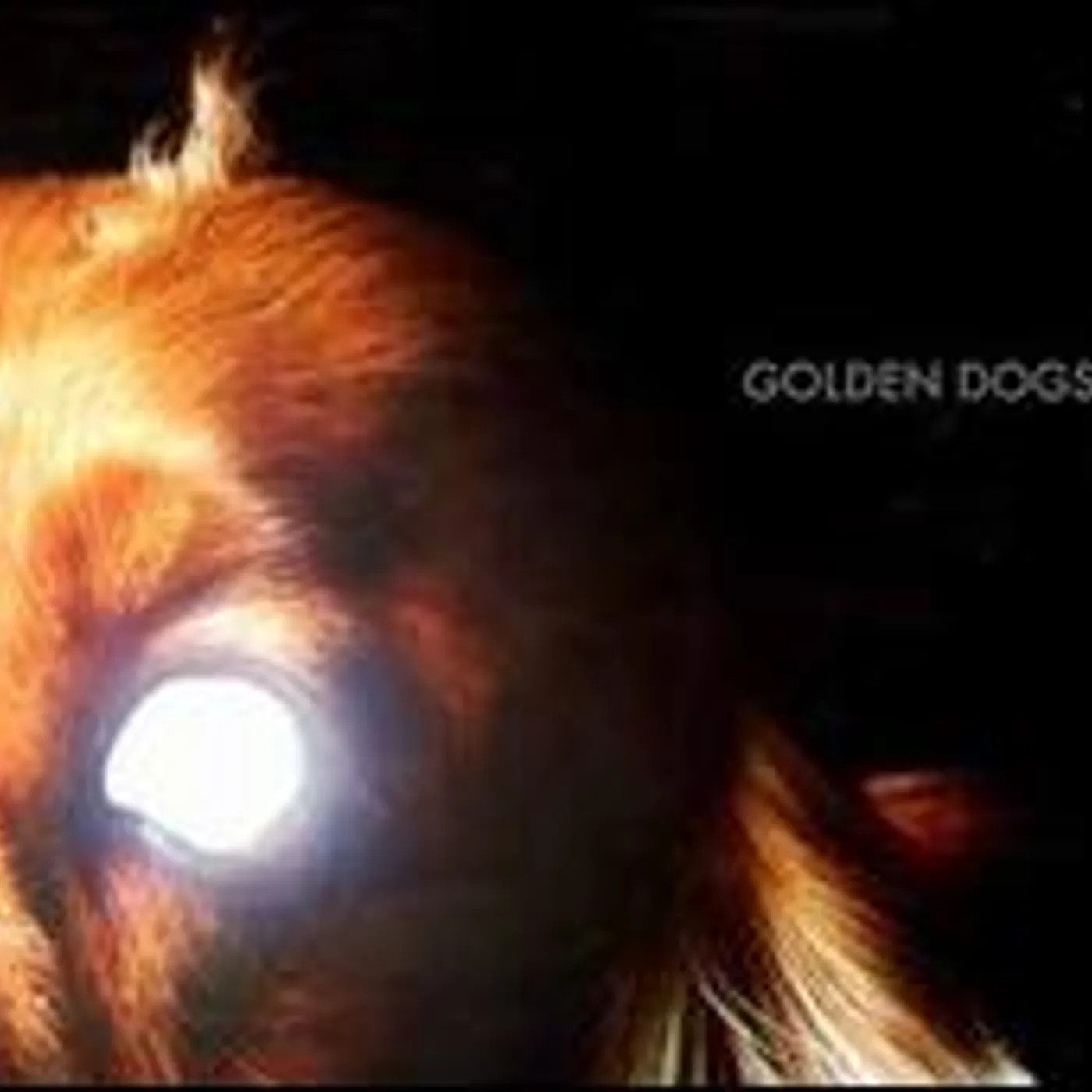 The Golden Dogs Coat Of Arms Vinyl Record