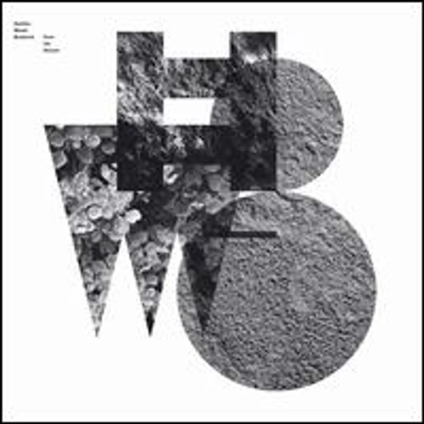 Heather Woods Broderick FROM THE GROUND (CAN) (Vinyl)