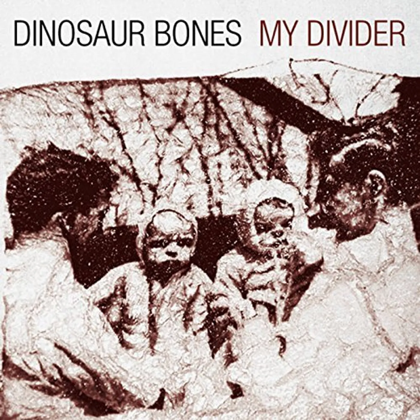 Dinosaur Bones My Divider Vinyl Record