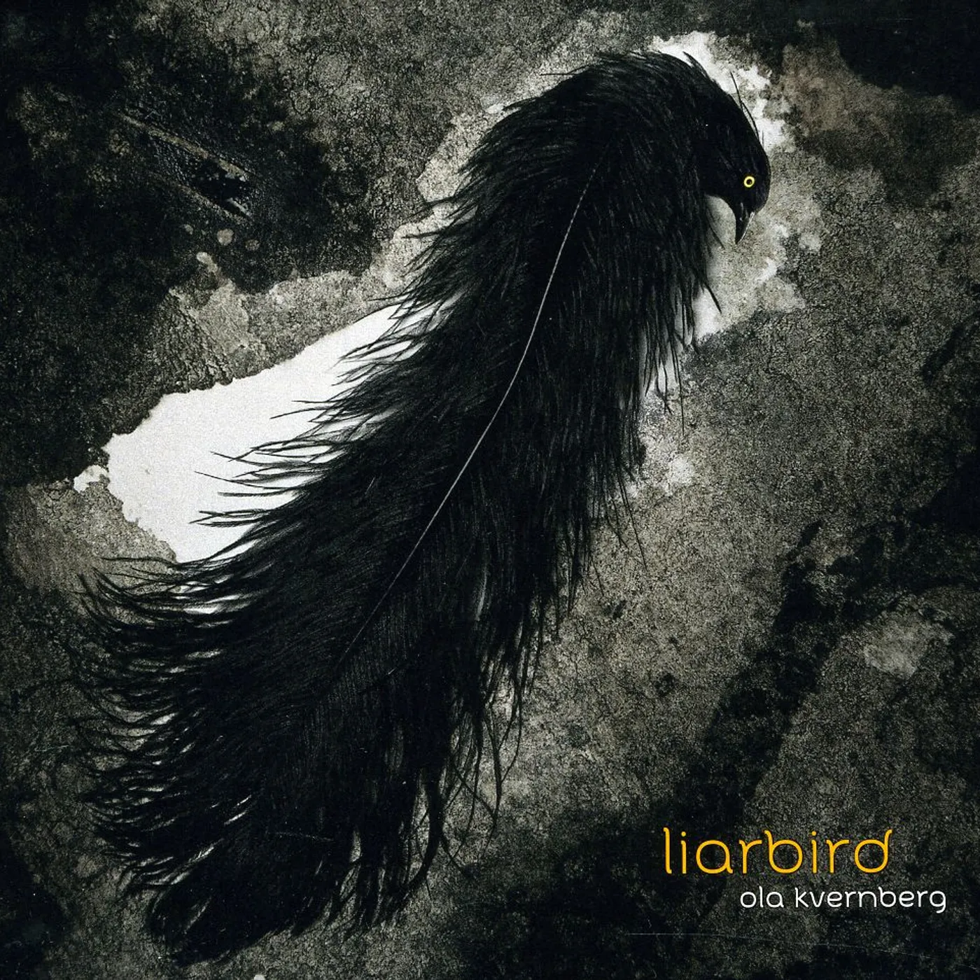 Ola Kvernberg LIARBIRD CD
