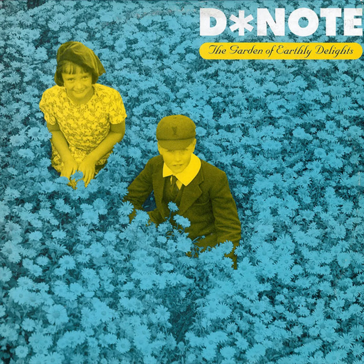 D*Note GARDEN OF EARTHLY DELIGHTS Vinyl Record