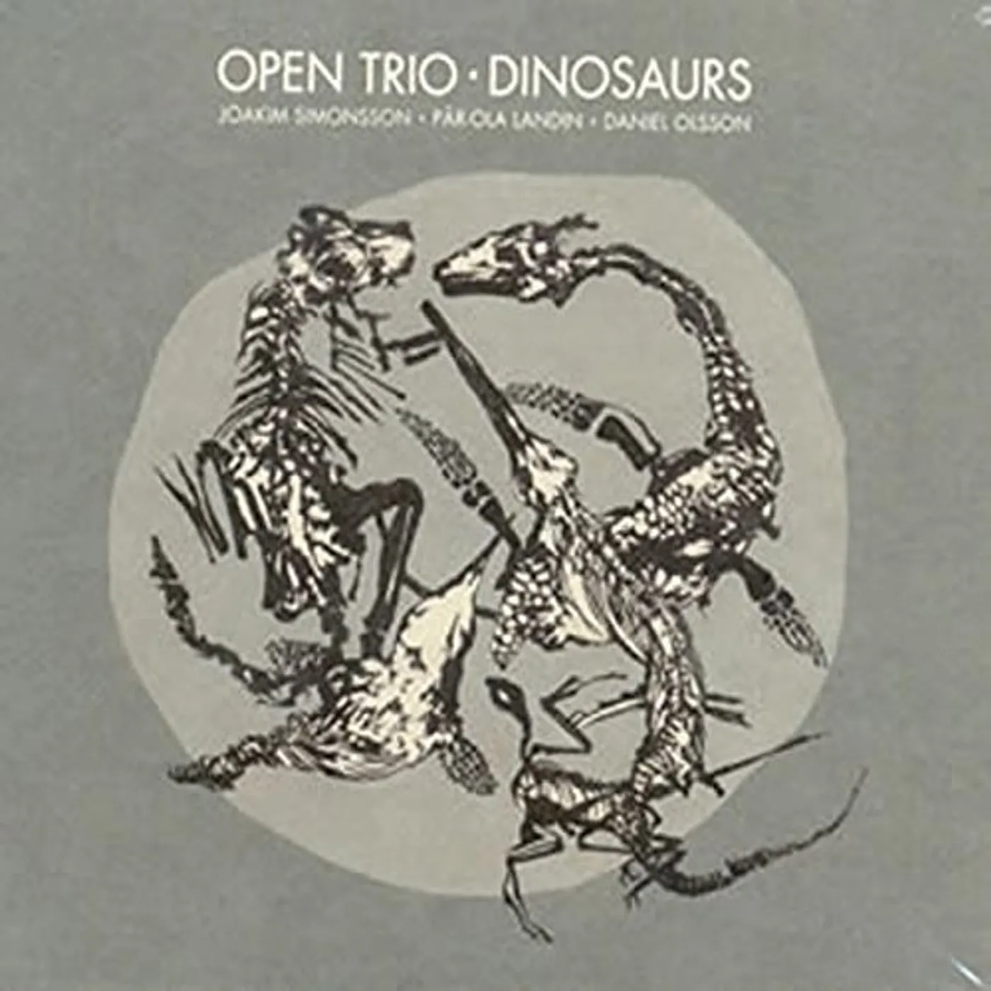 Open Trio Dinosaurs Vinyl Record