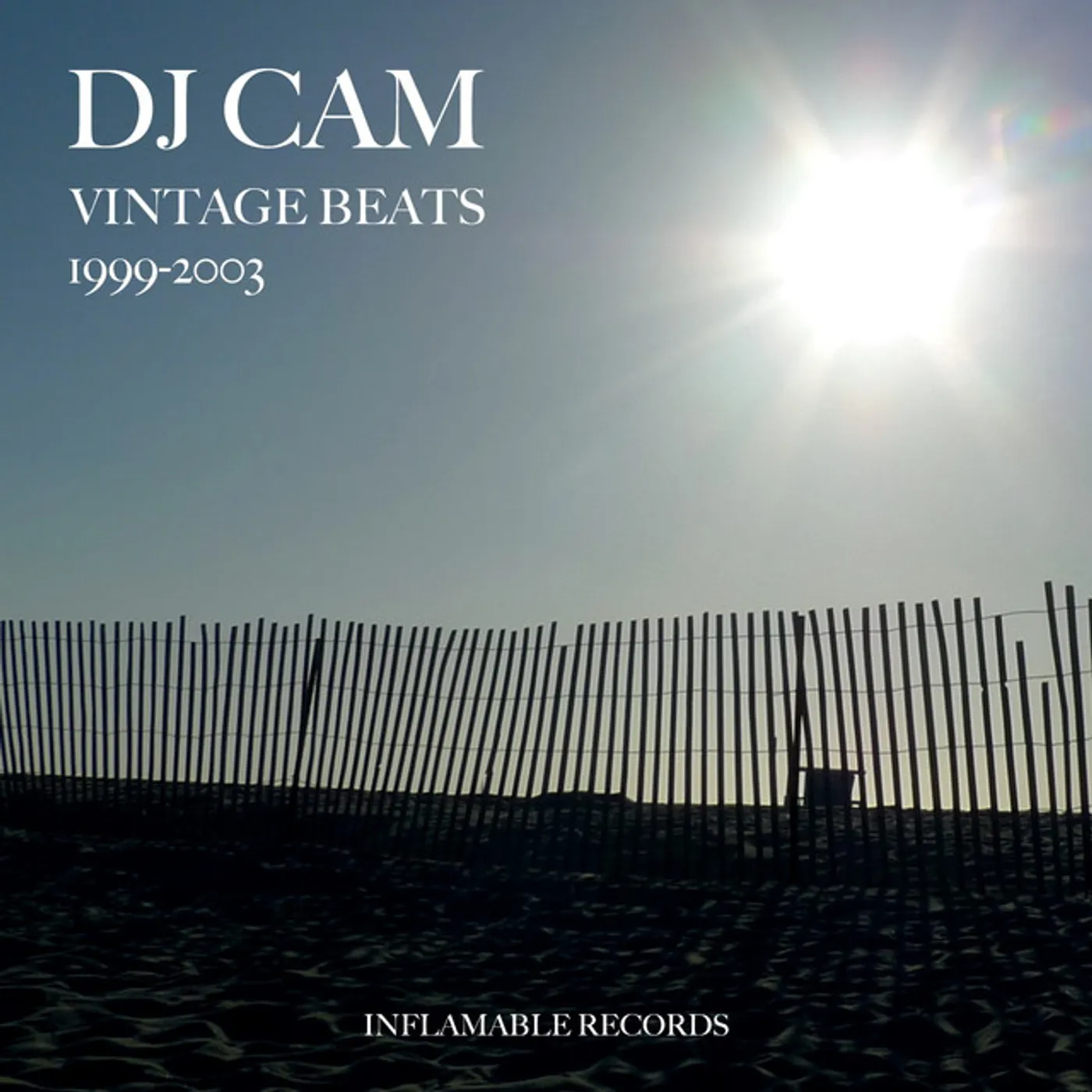 DJ Cam VINTAGE BEATS 1999-03 Vinyl Record