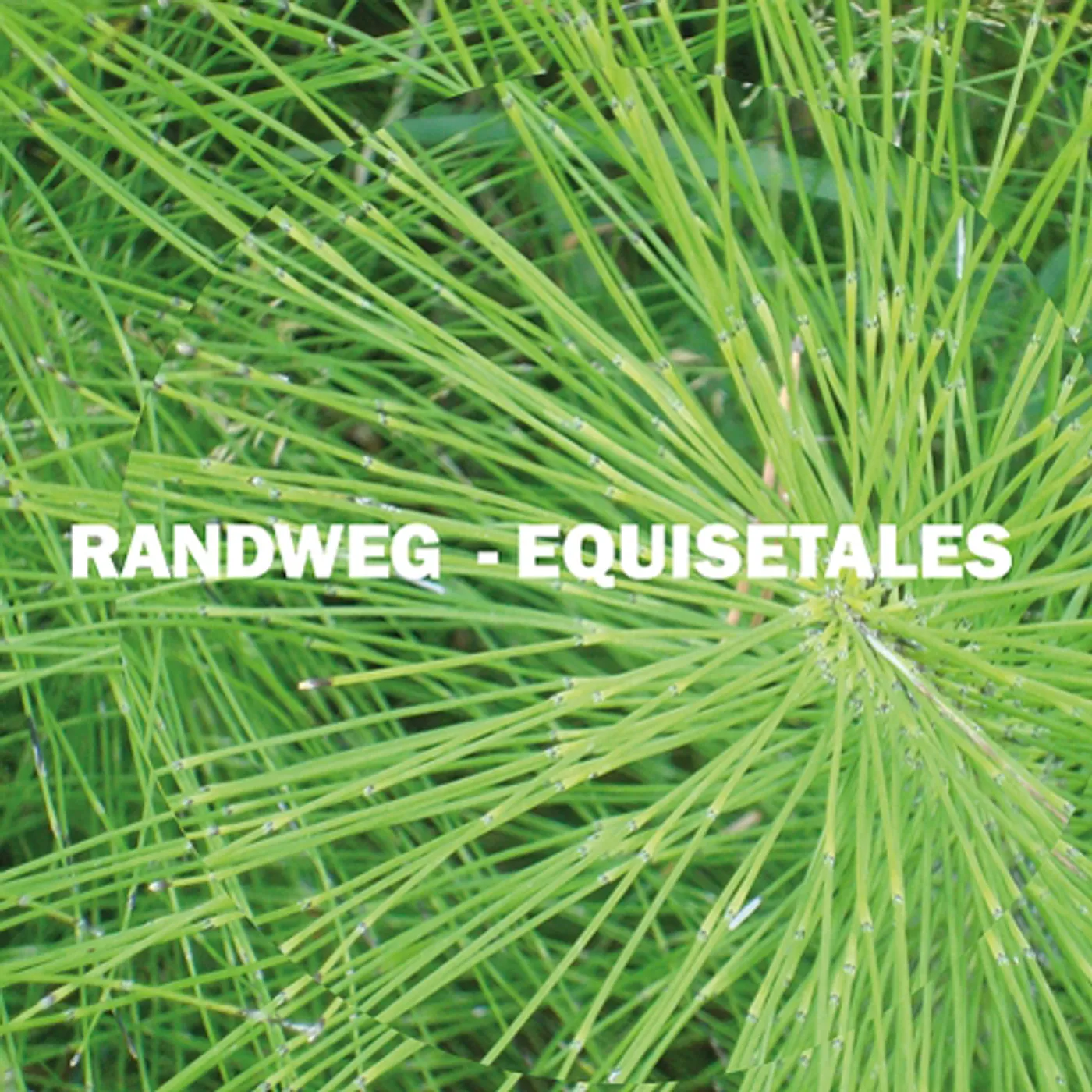 Randweg Equisetales Vinyl Record