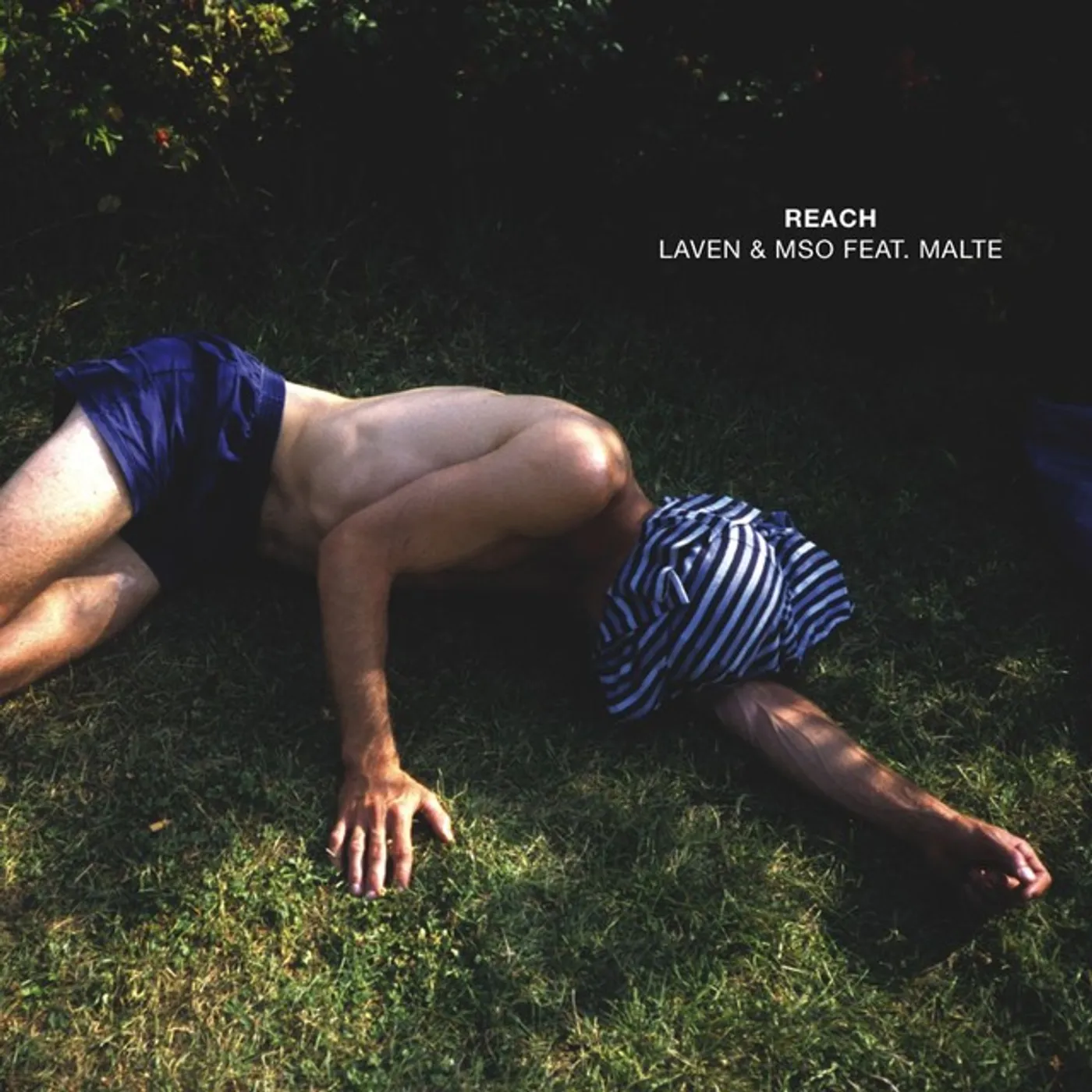 Laven & MSO Reach Vinyl Record