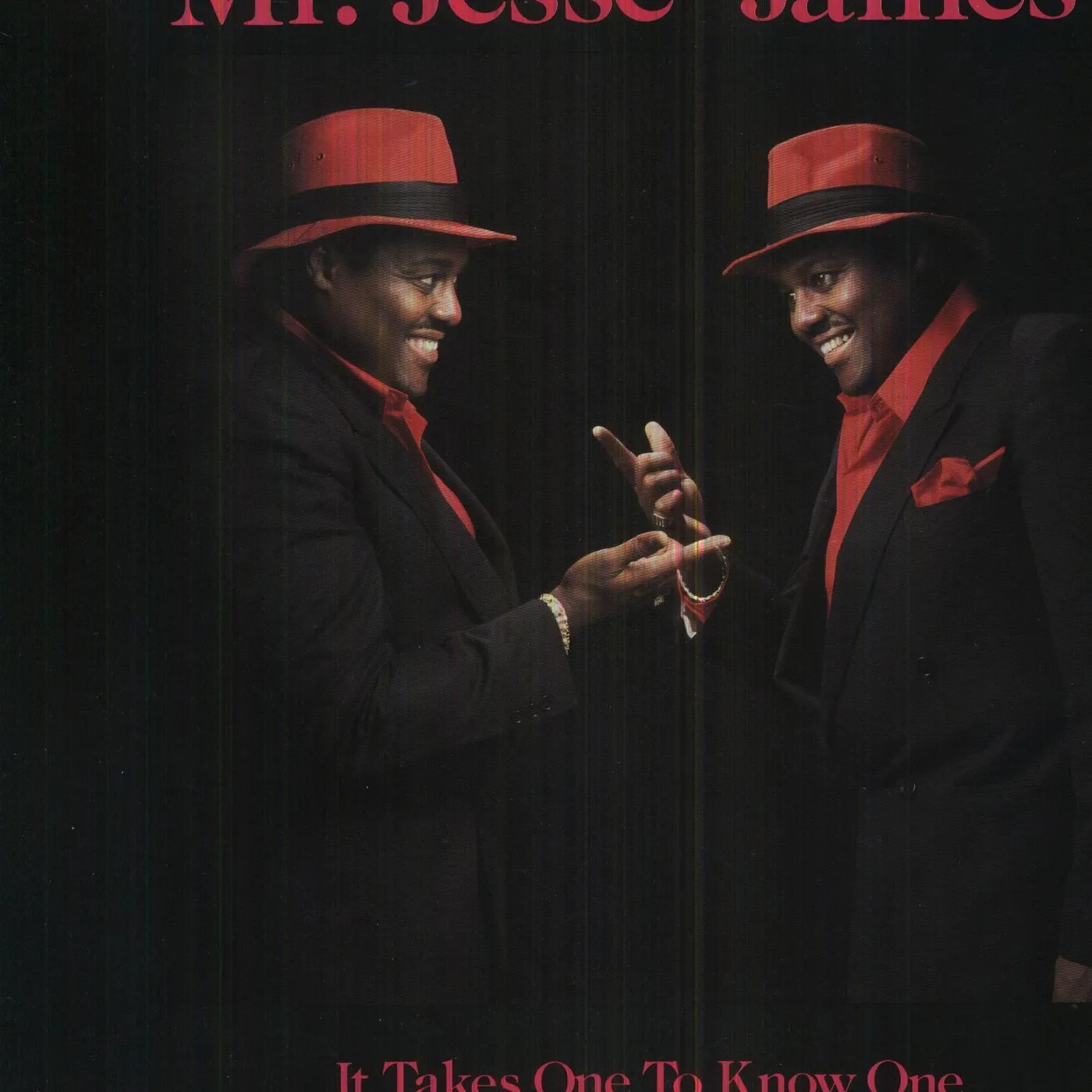 Jesse James It Takes One To Know One Vinyl Record