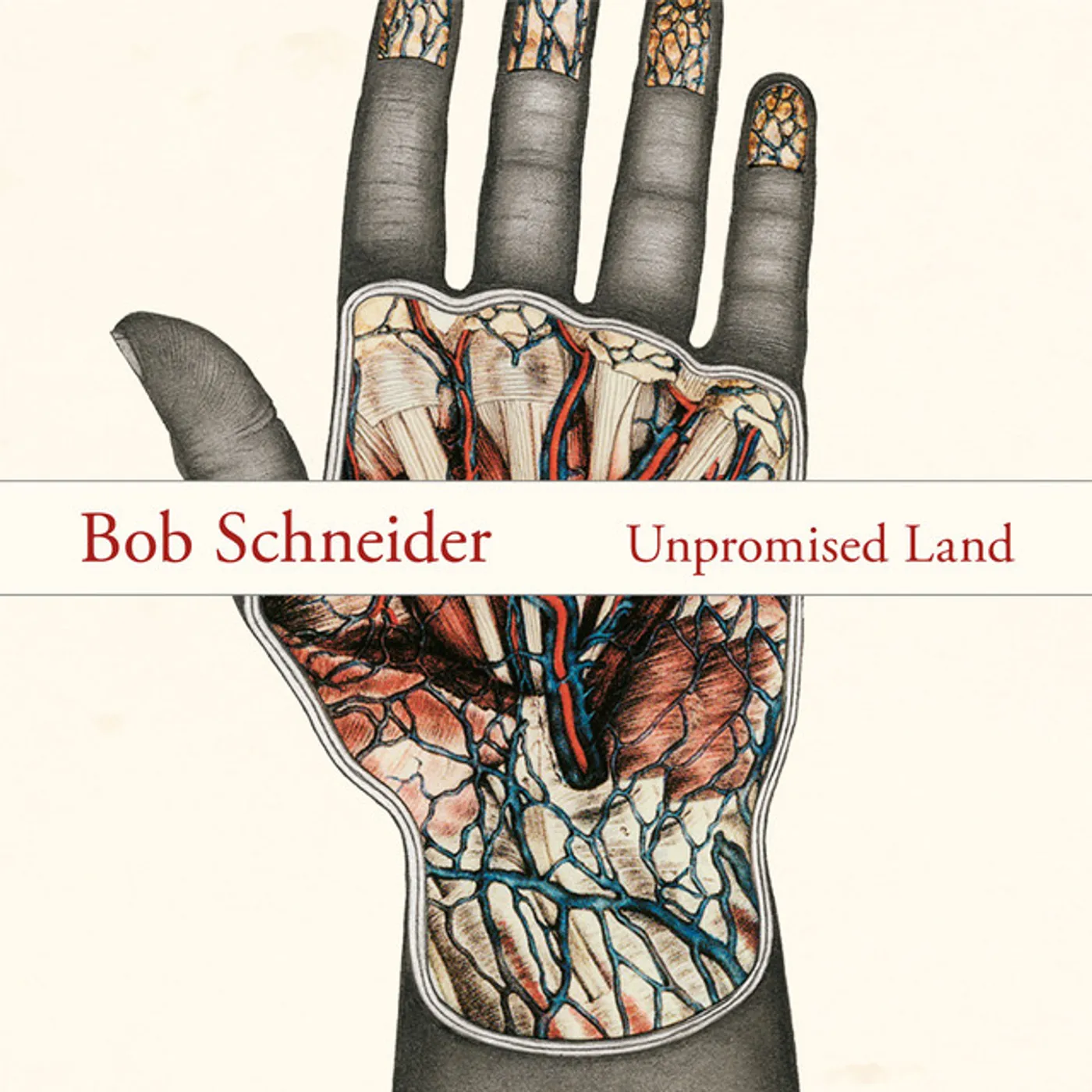 Bob Schneider Unpromised Land Vinyl Record