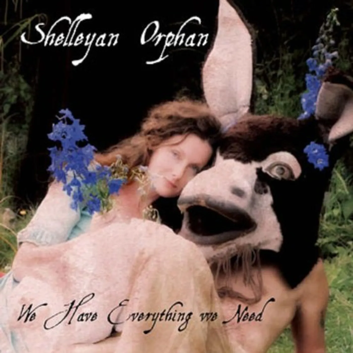 Shelleyan Orphan WE HAVE EVERYTHING WE NEED CD