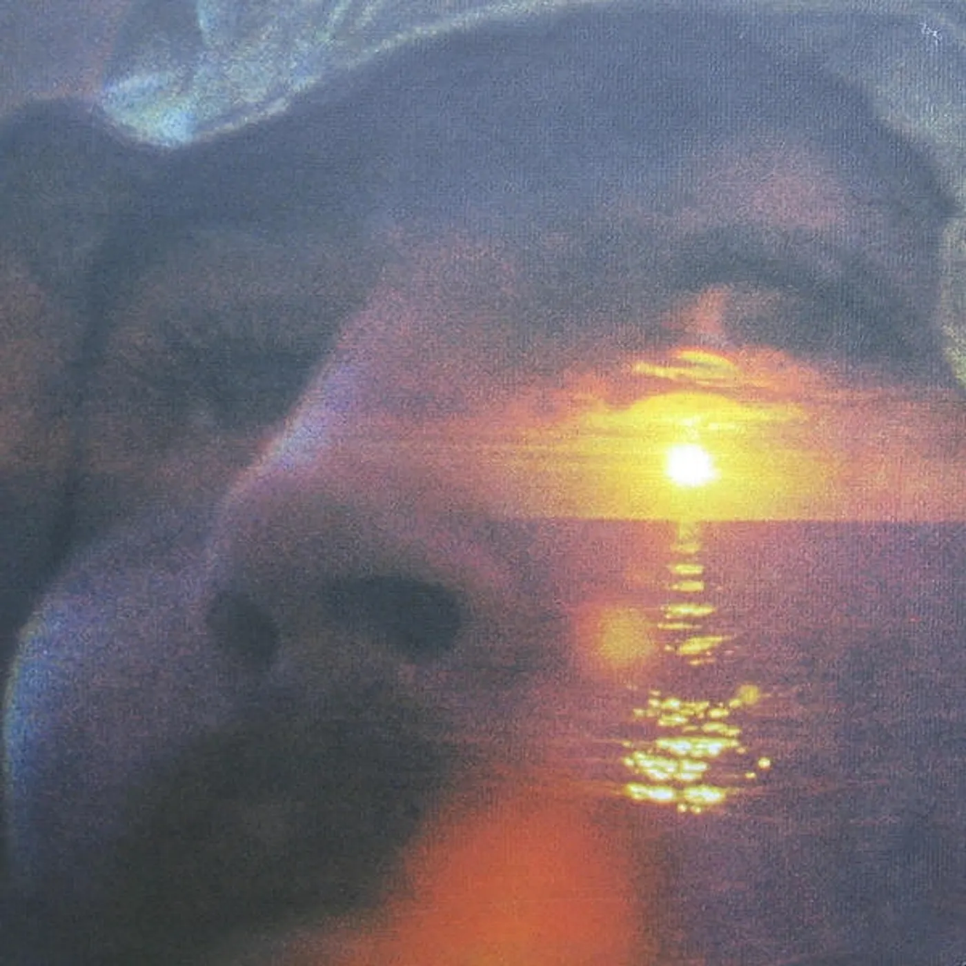David Crosby IF I COULD ONLY REMEMBER MY NAME Vinyl Record