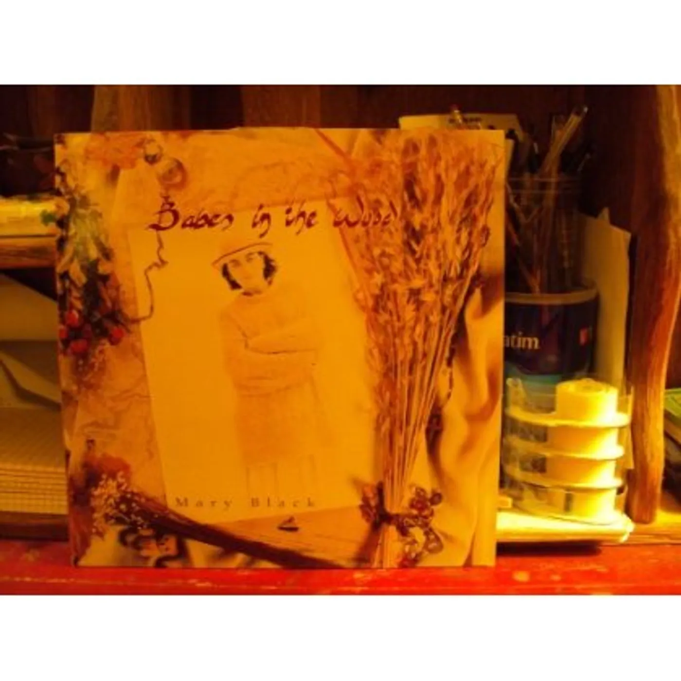 Mary Black Babes in the Wood Vinyl Record