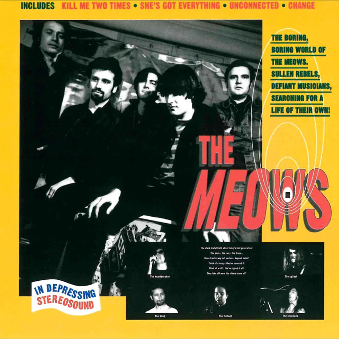 The Meows Vinyl Record