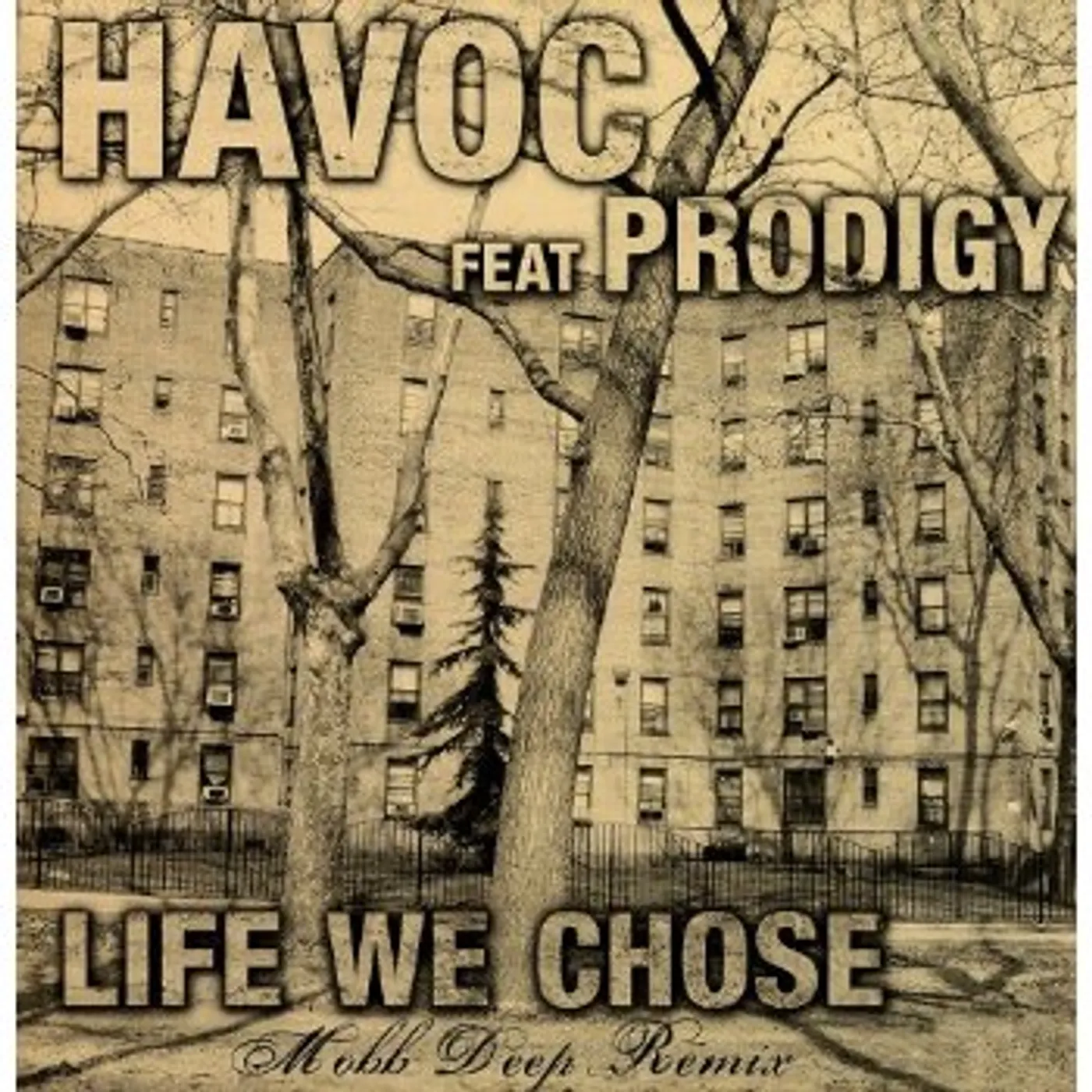 Havoc LIFE WE CHOSE Vinyl Record