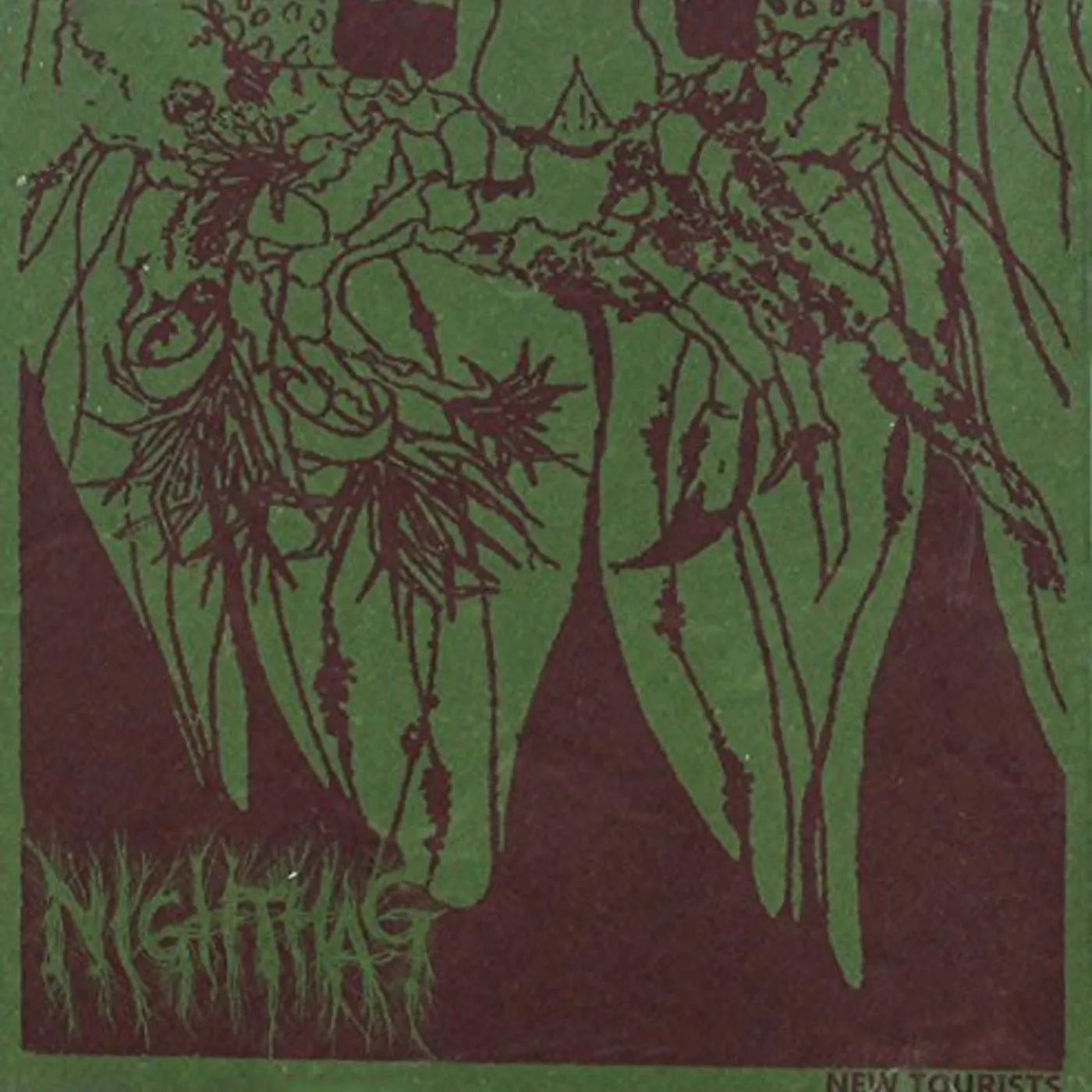 Night Hag NEW TOURISTS CD