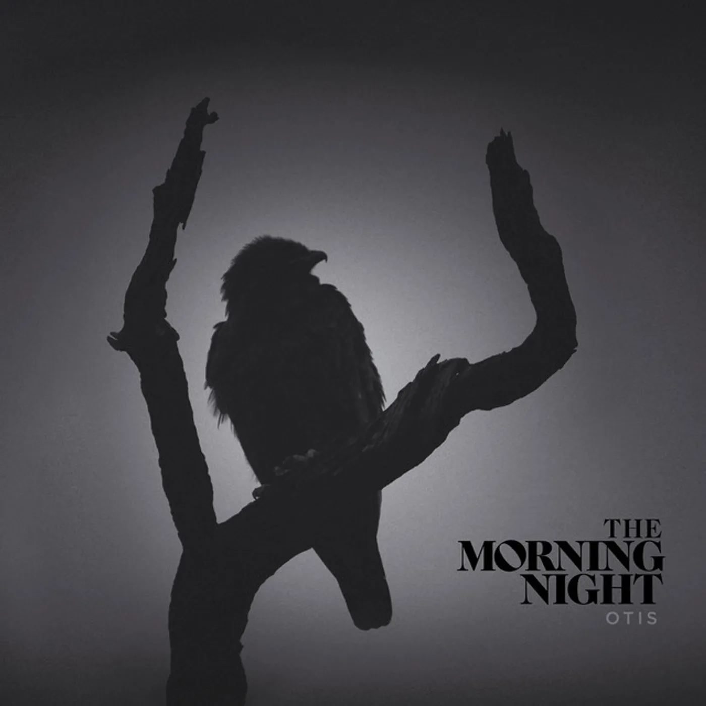 The Morning Night Otis Vinyl Record