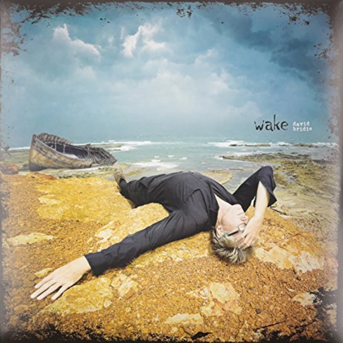 David Bridie Wake Vinyl Record