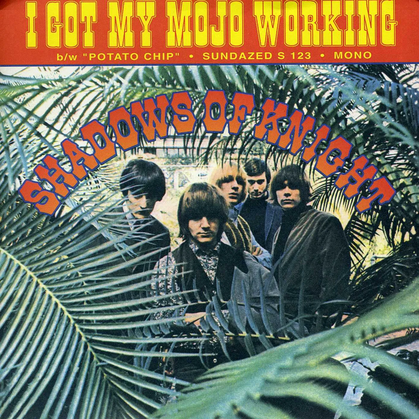 The Shadows Of Knight I Got My Mojo Working Vinyl Record