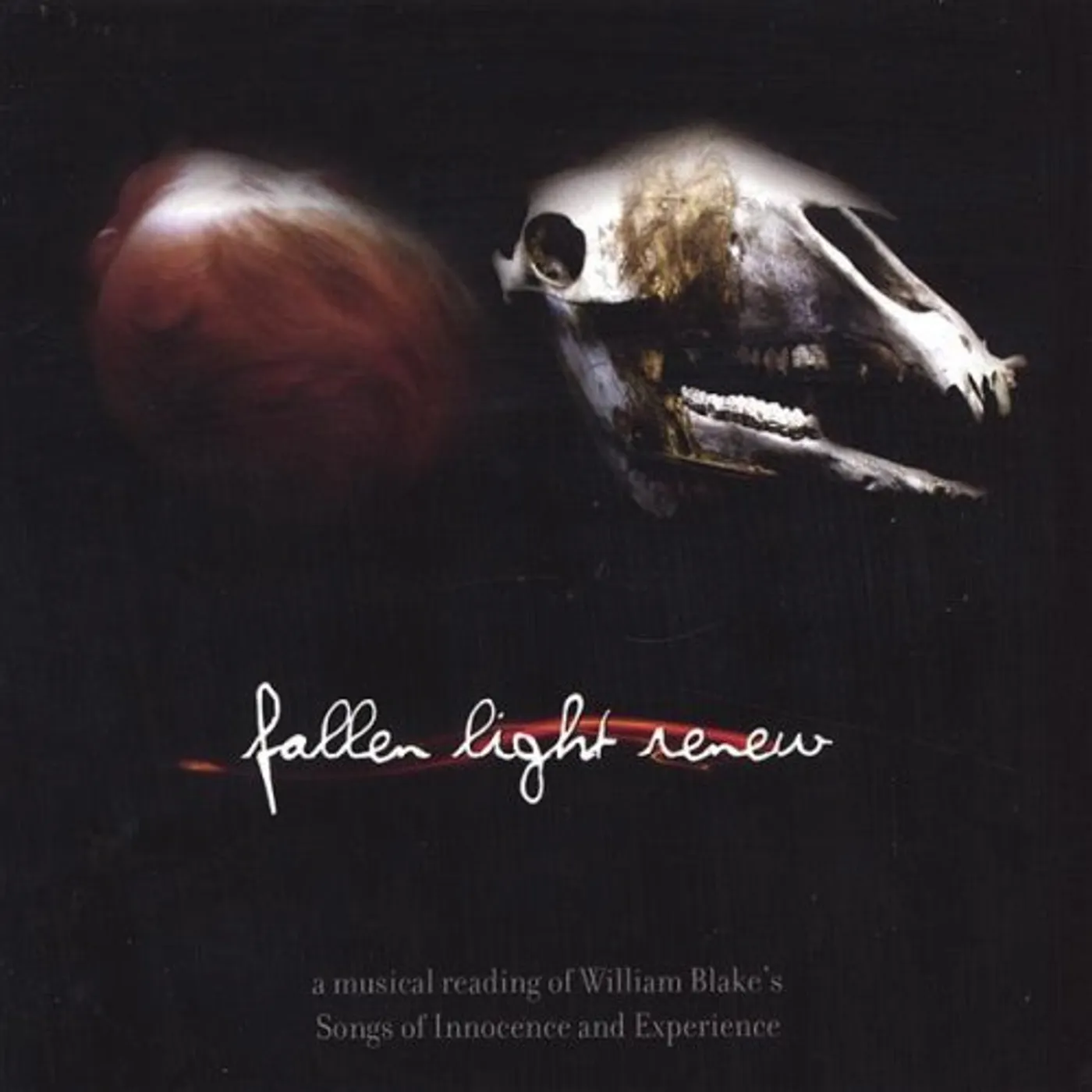 Amanda Kramer FALLEN LIGHT RENEW CD