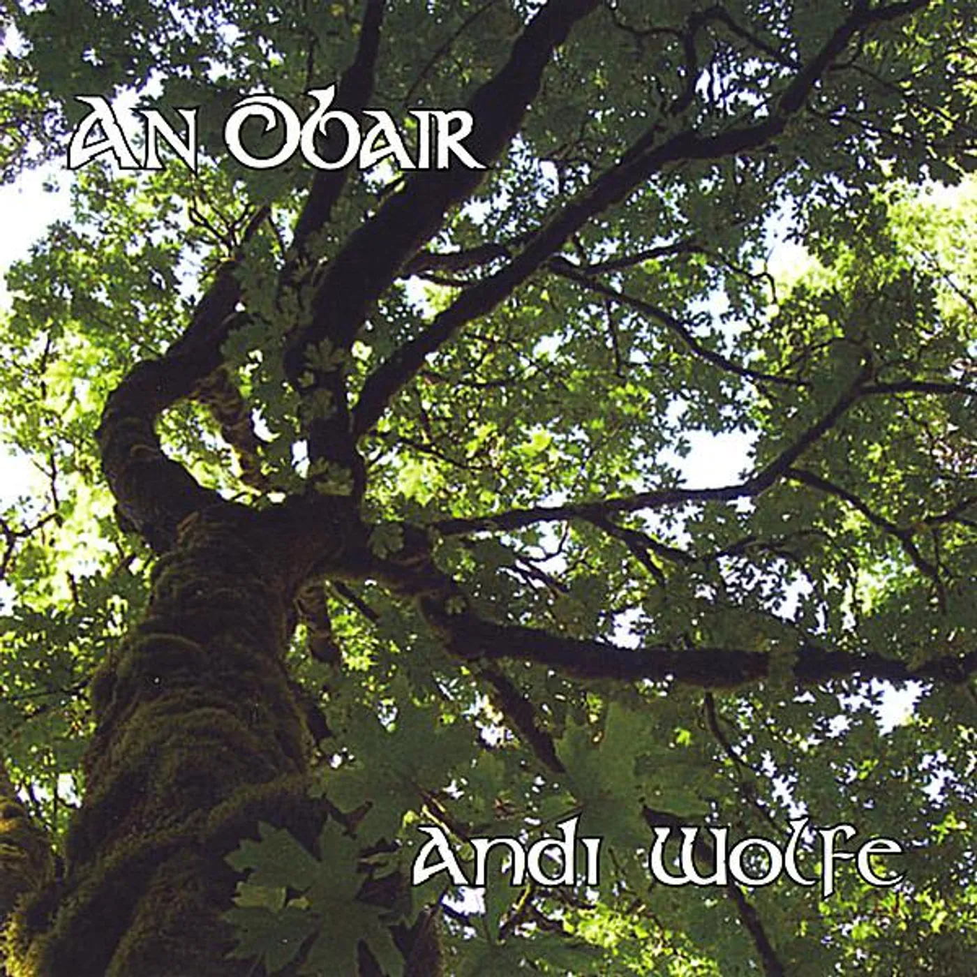 Andi Wolfe OBAIR CD