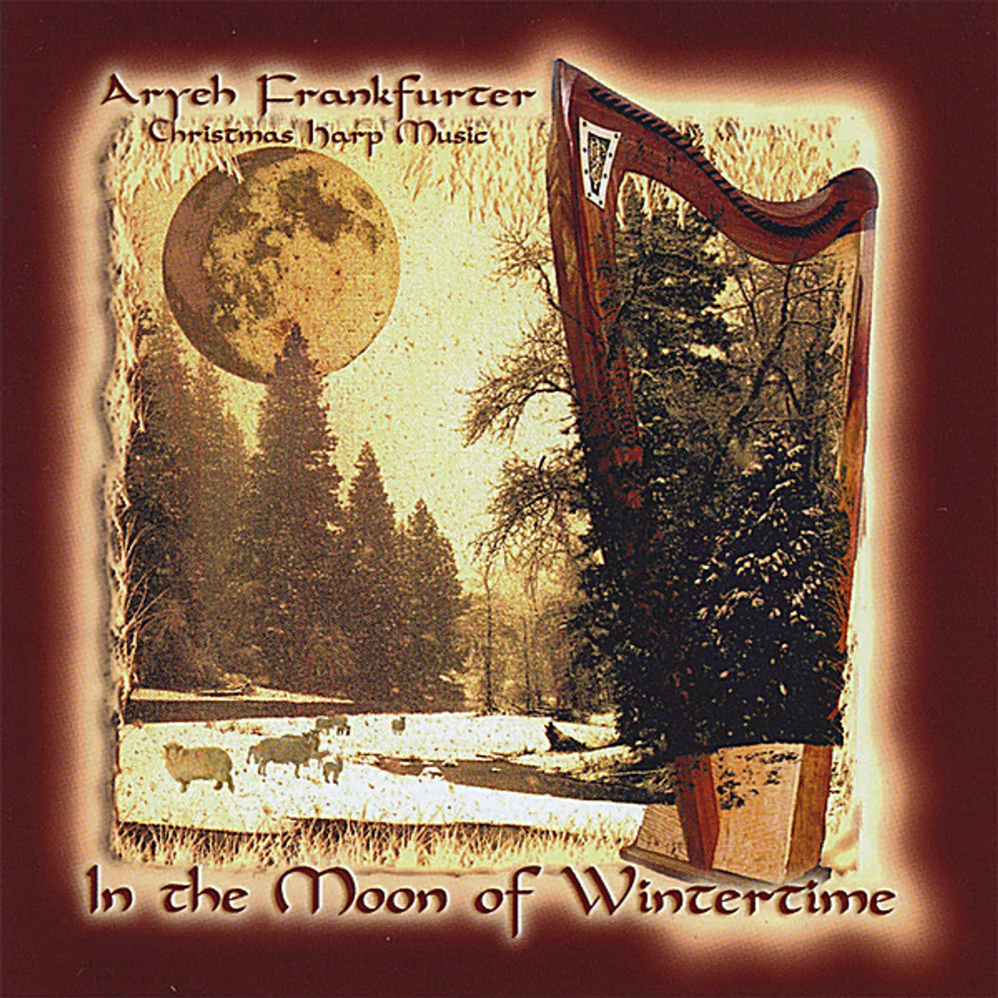 Aryeh Frankfurter IN THE MOON OF WINTERTIME CD