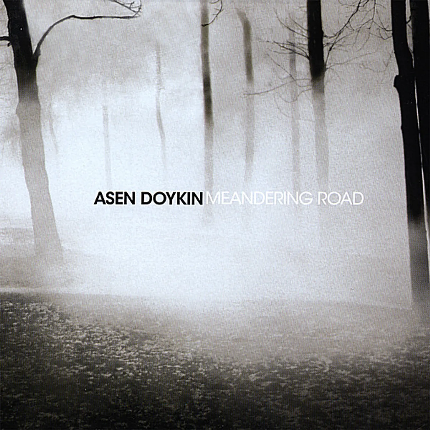 Asen Doykin MEANDERING ROAD CD